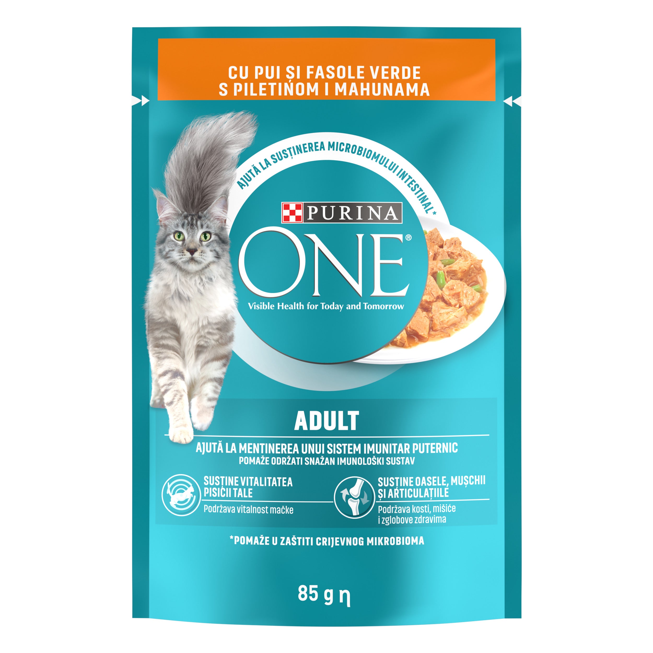 PURINA ONE® ADULT cu Pui & Fasole Verde – 85g