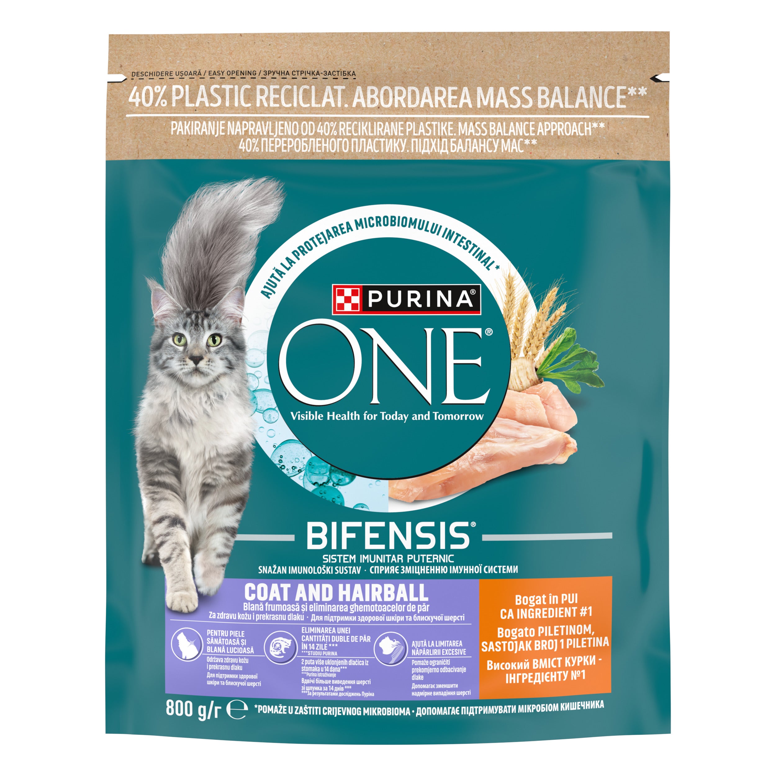 PURINA ONE® COAT & HAIRBALL cu Pui – 800g