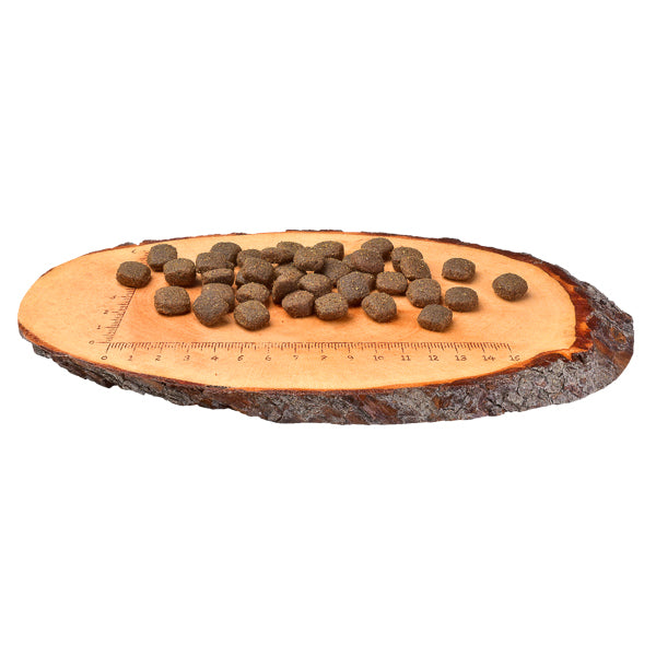 Carnilove Lamb & Wild Boar Adult Dog