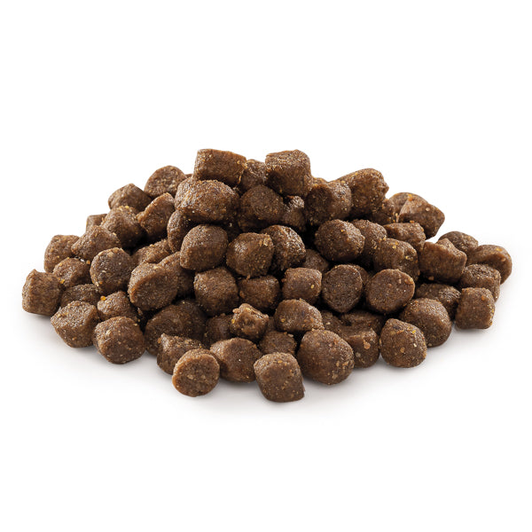 Brit Premium by Nature Junior S