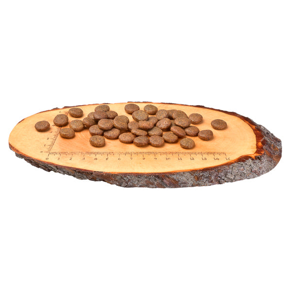 Carnilove Fresh Carp & Trout, Healthy Skin for Adult Dogs