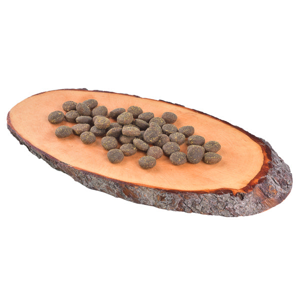 Carnilove True Fresh Fish for Adult Dogs