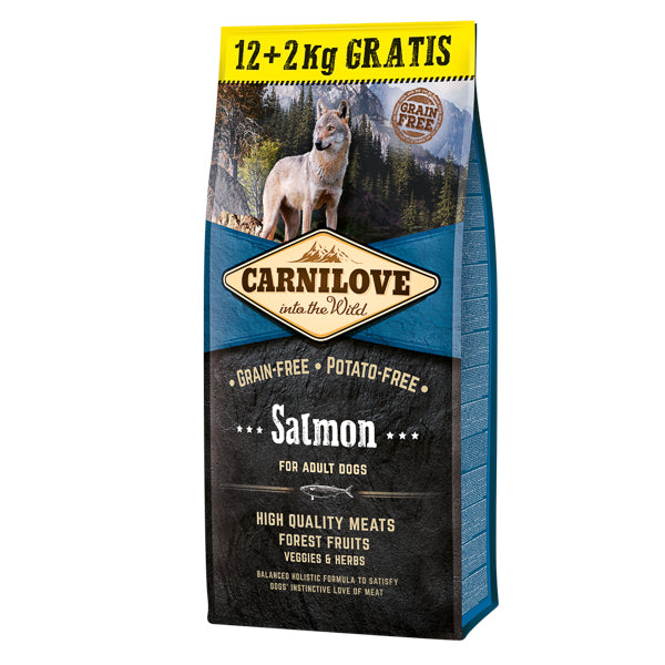Carnilove Salmon for Adult