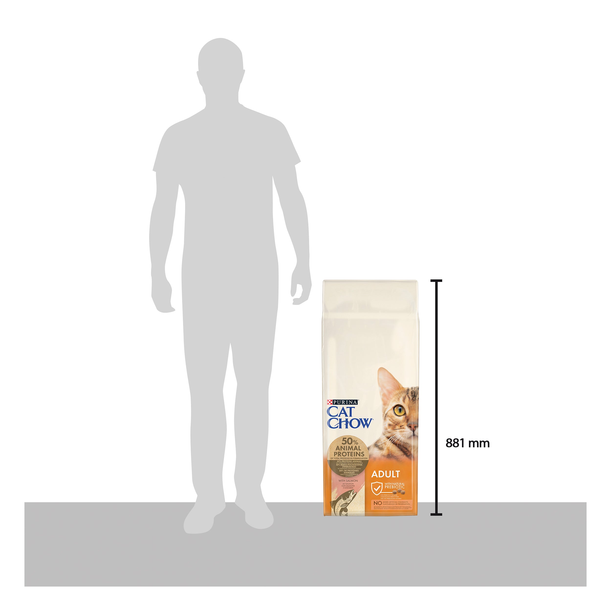 Purina Cat Chow Adult cu Somon 15kg