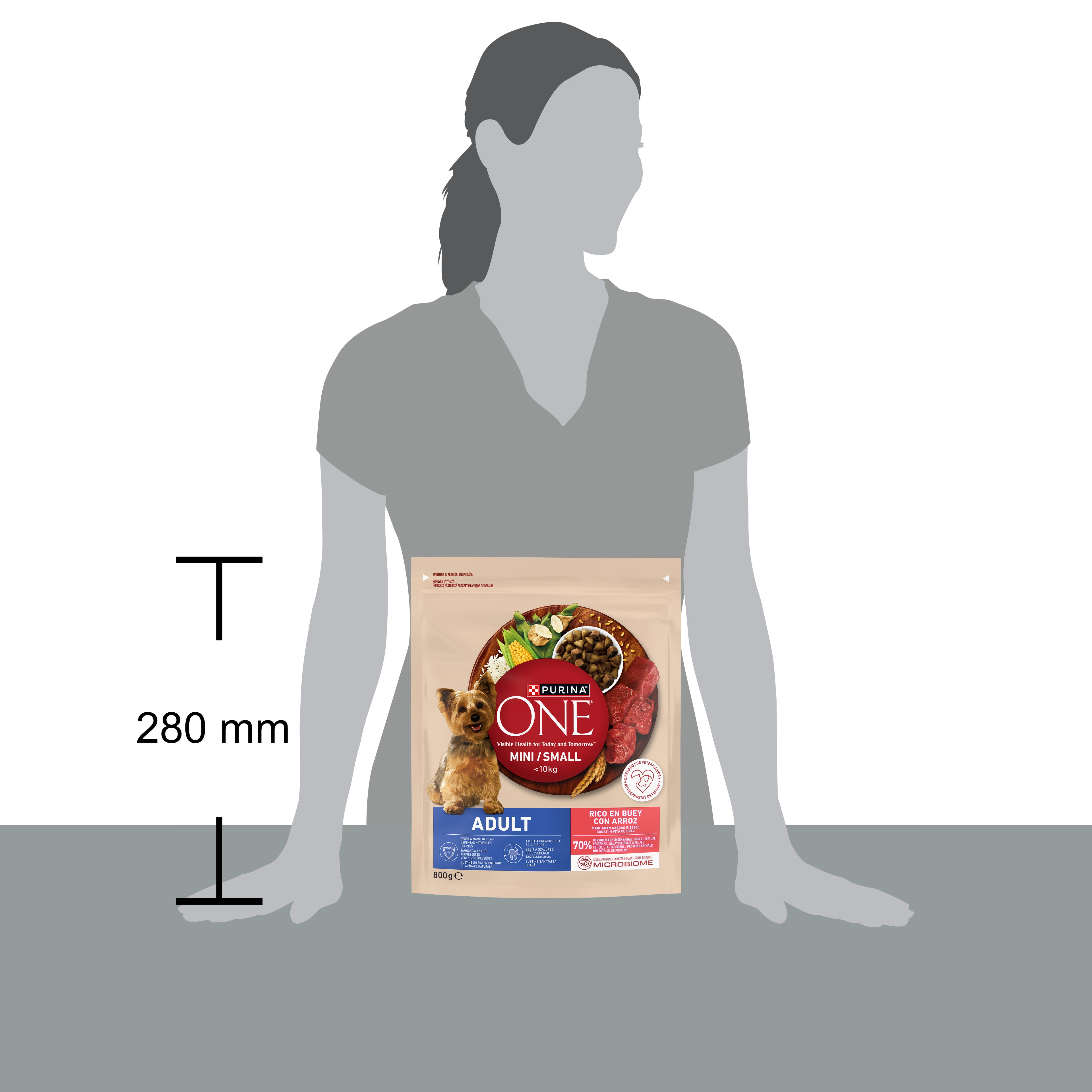 PURINA ONE® Mini Adult Vită & Orez – Câini talie mică, 800g