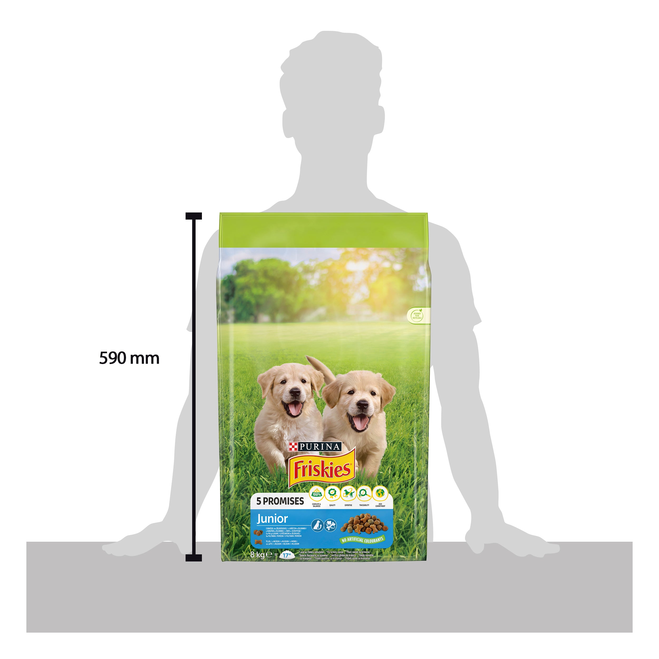 Friskies Junior – Pui, Legume & Lapte