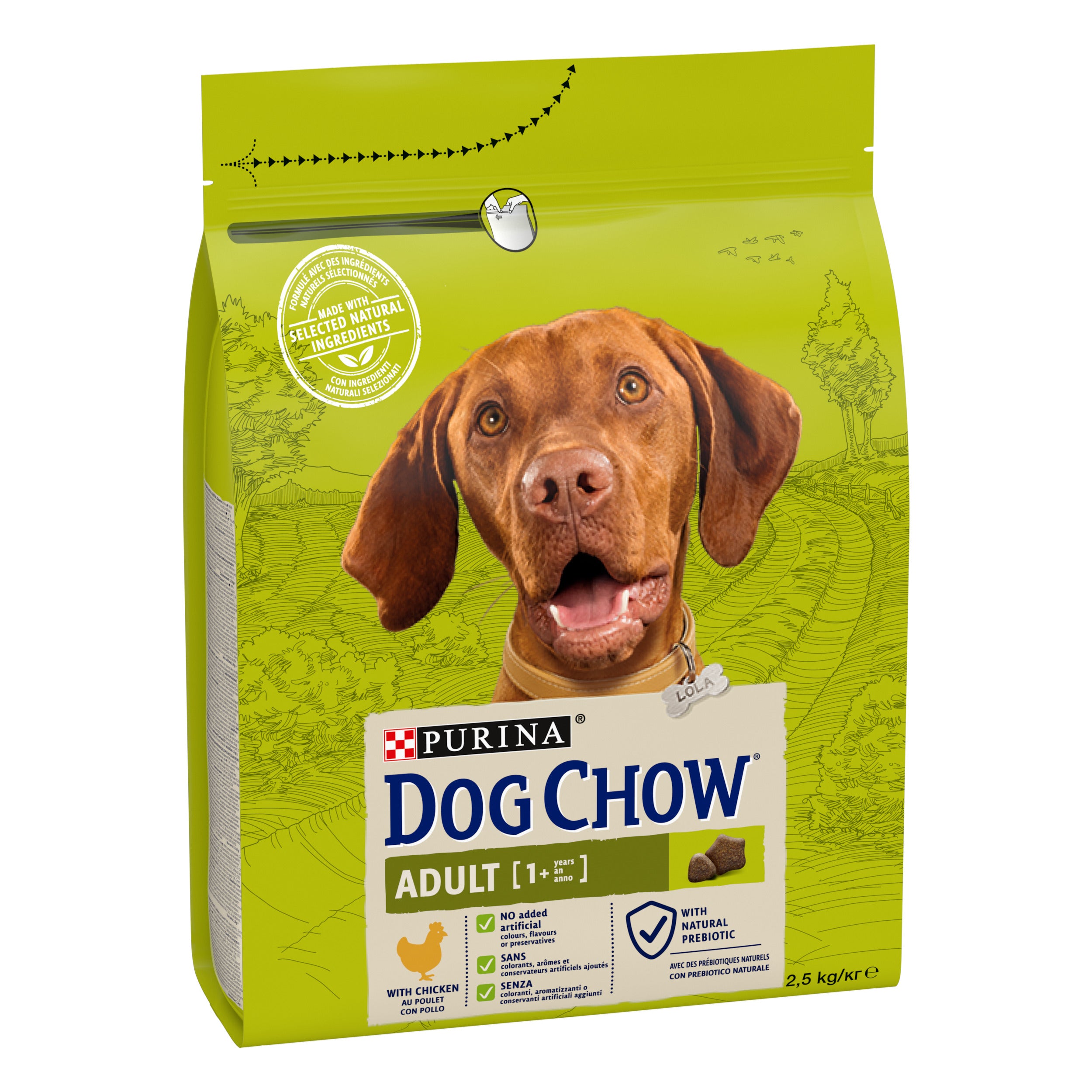 Purina Dog Chow Adult cu Pui
