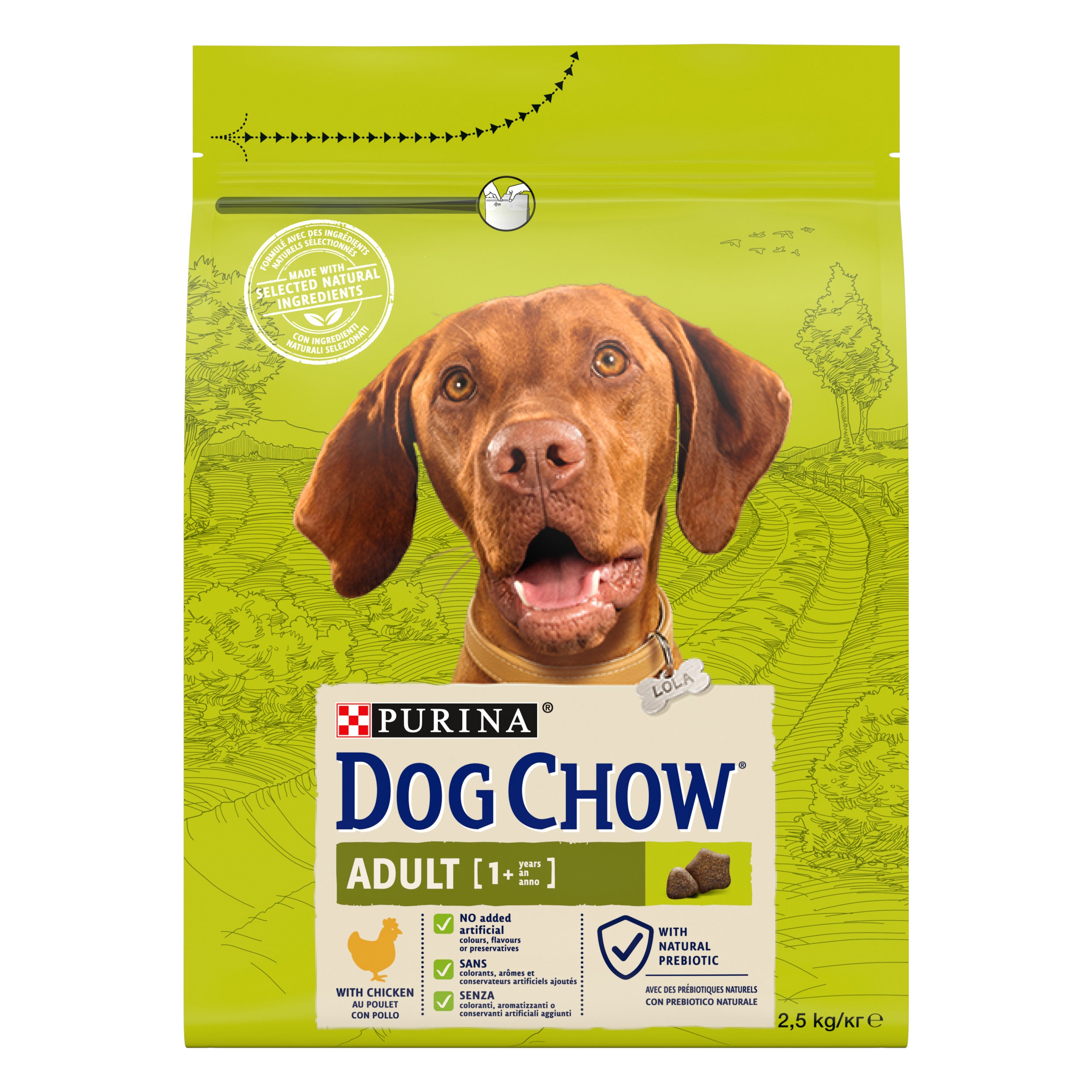 Purina Dog Chow Adult cu Pui
