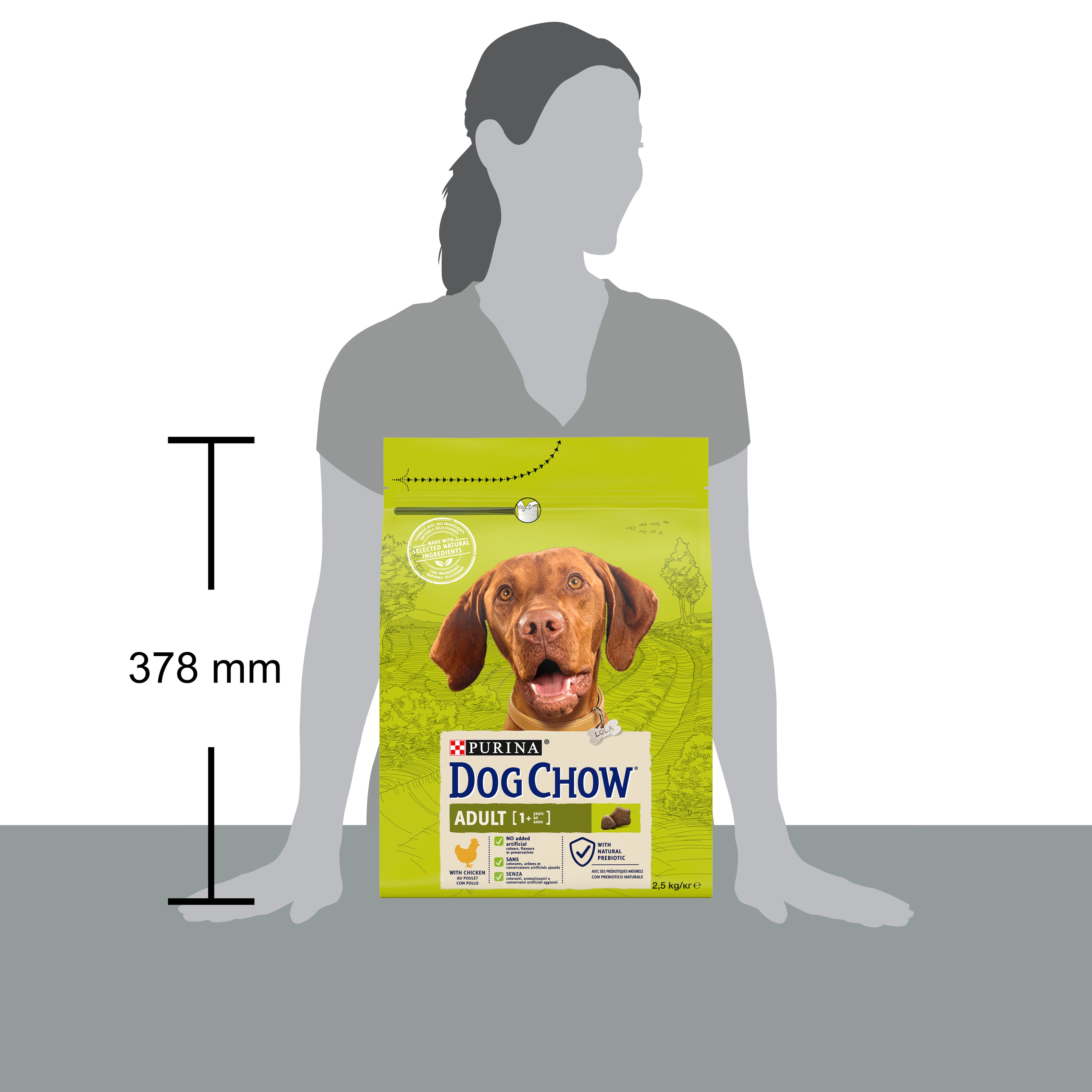 Purina Dog Chow Adult cu Pui