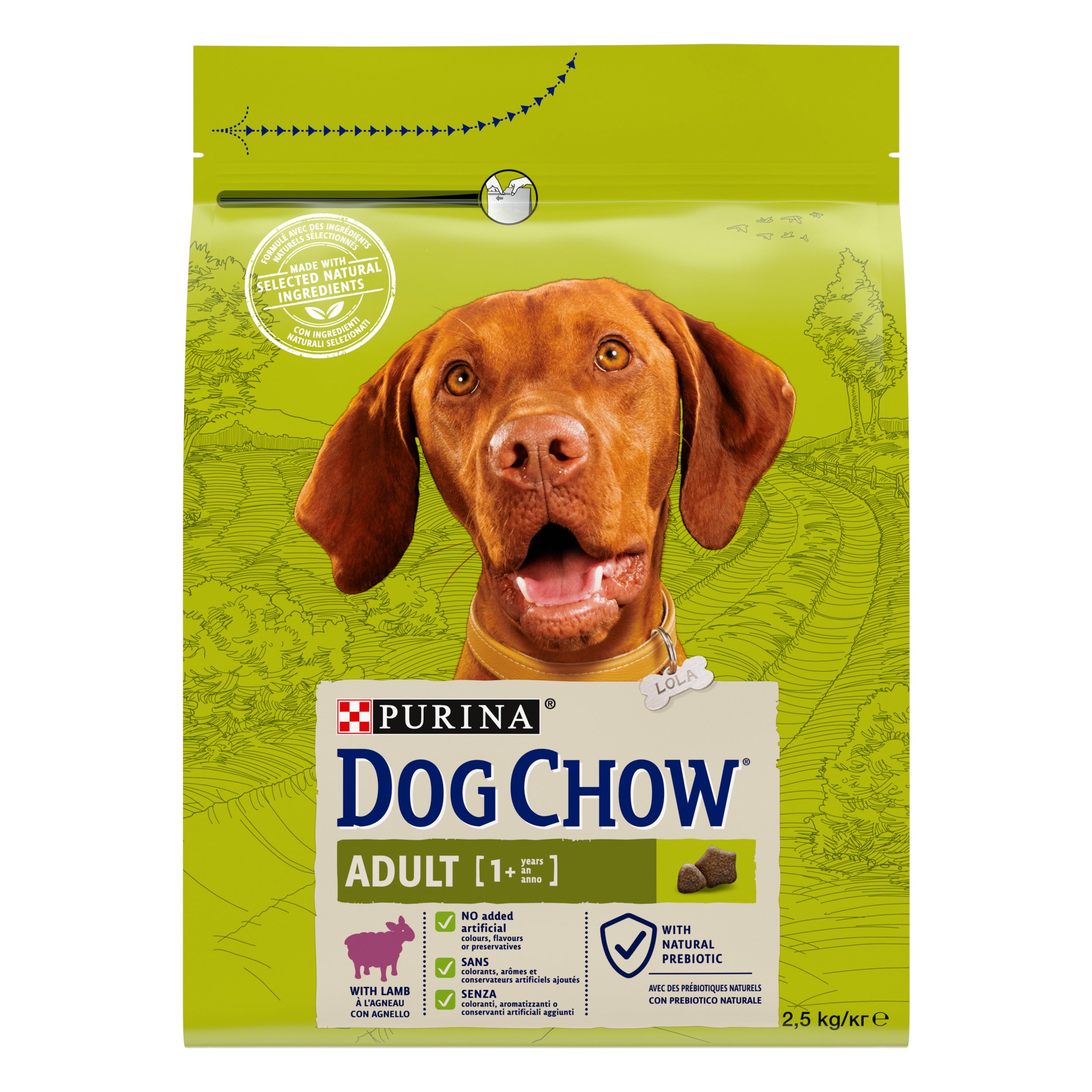 Purina Dog Chow Adult cu Miel