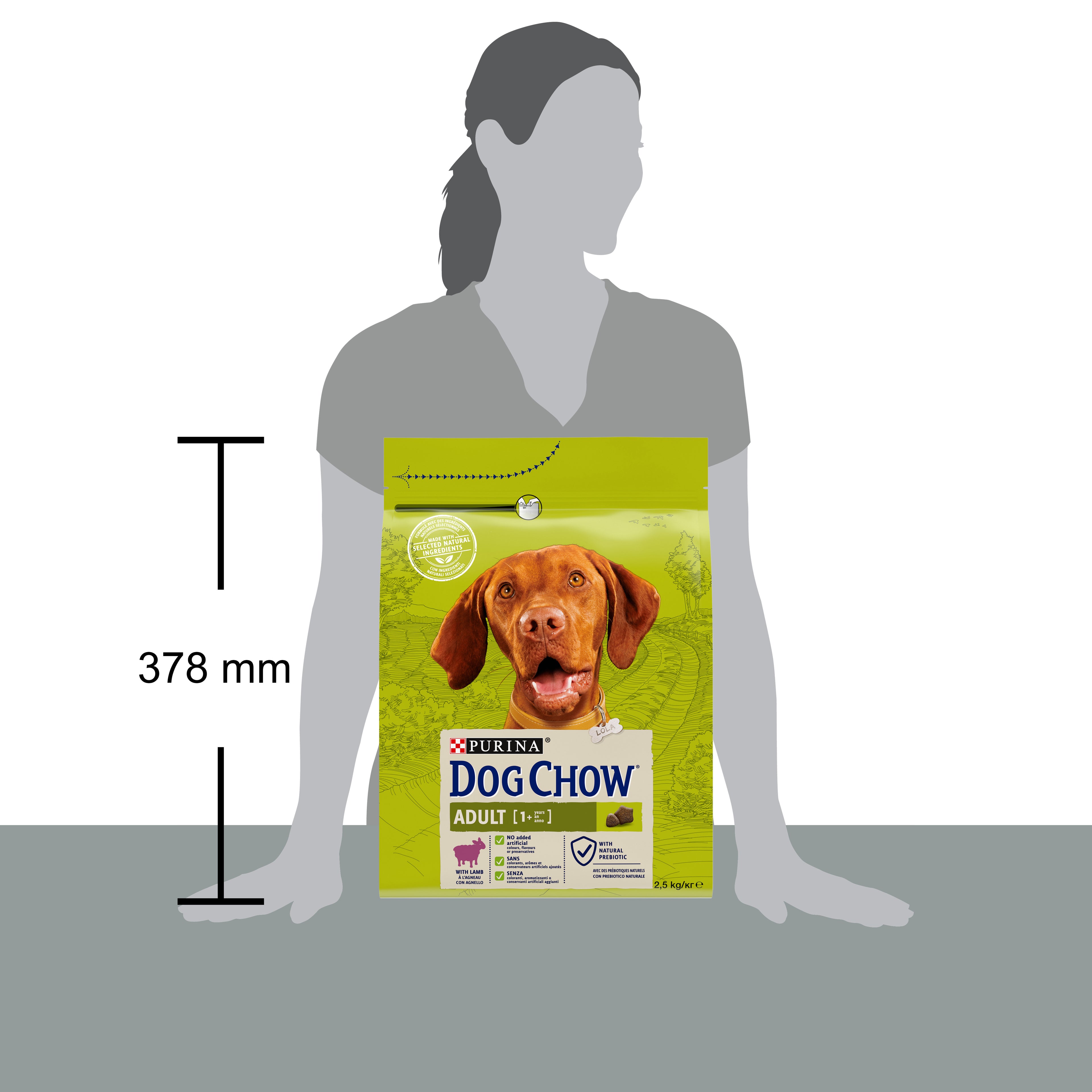 Purina Dog Chow Adult cu Miel