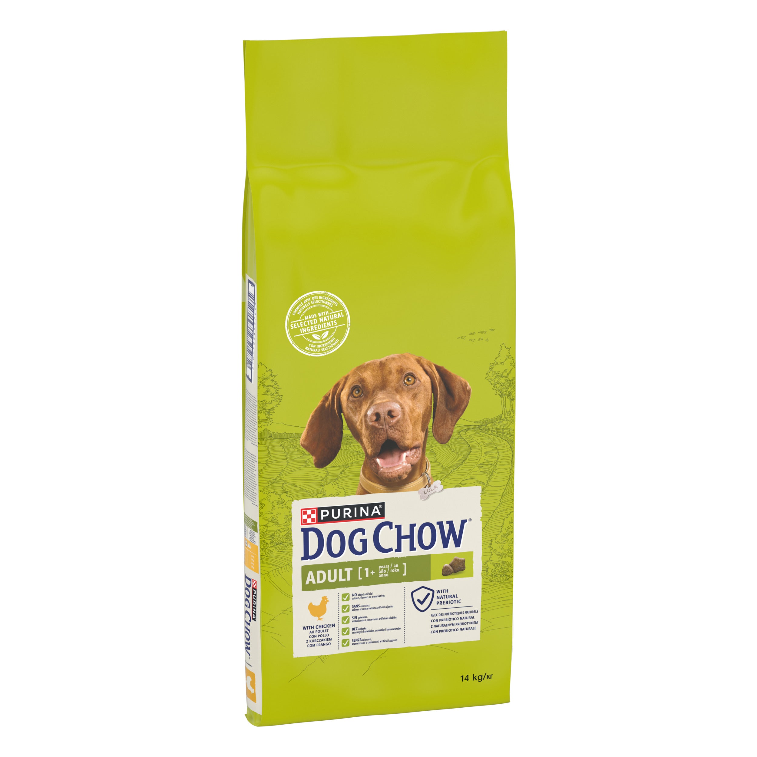 Purina Dog Chow Adult cu Pui