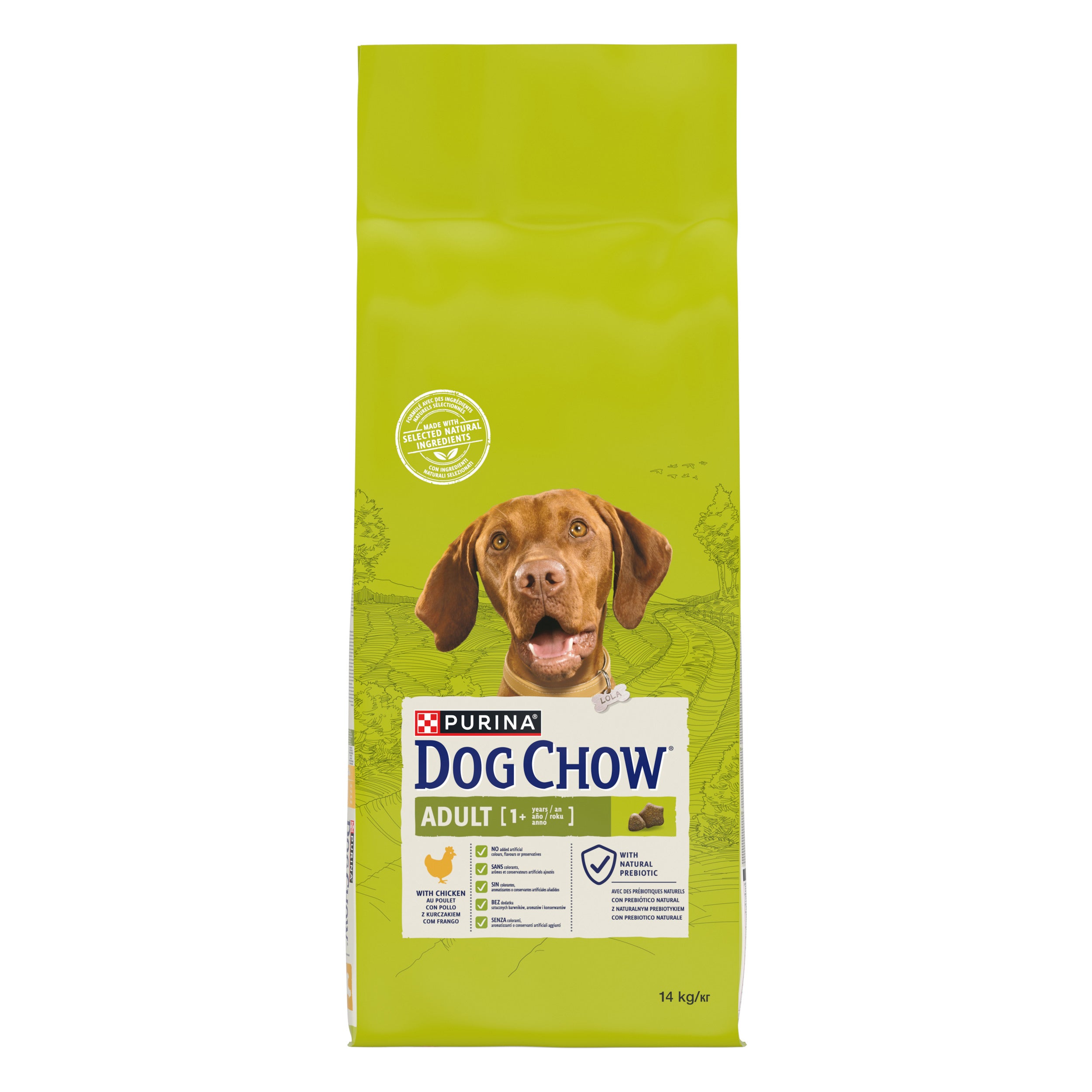 Purina Dog Chow Adult cu Pui