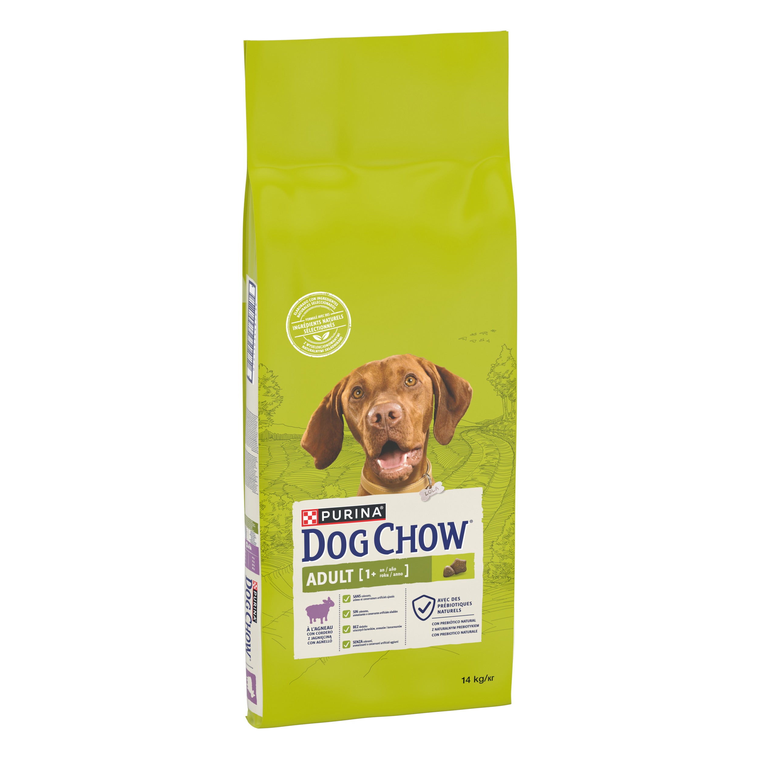 Purina Dog Chow Adult cu Miel