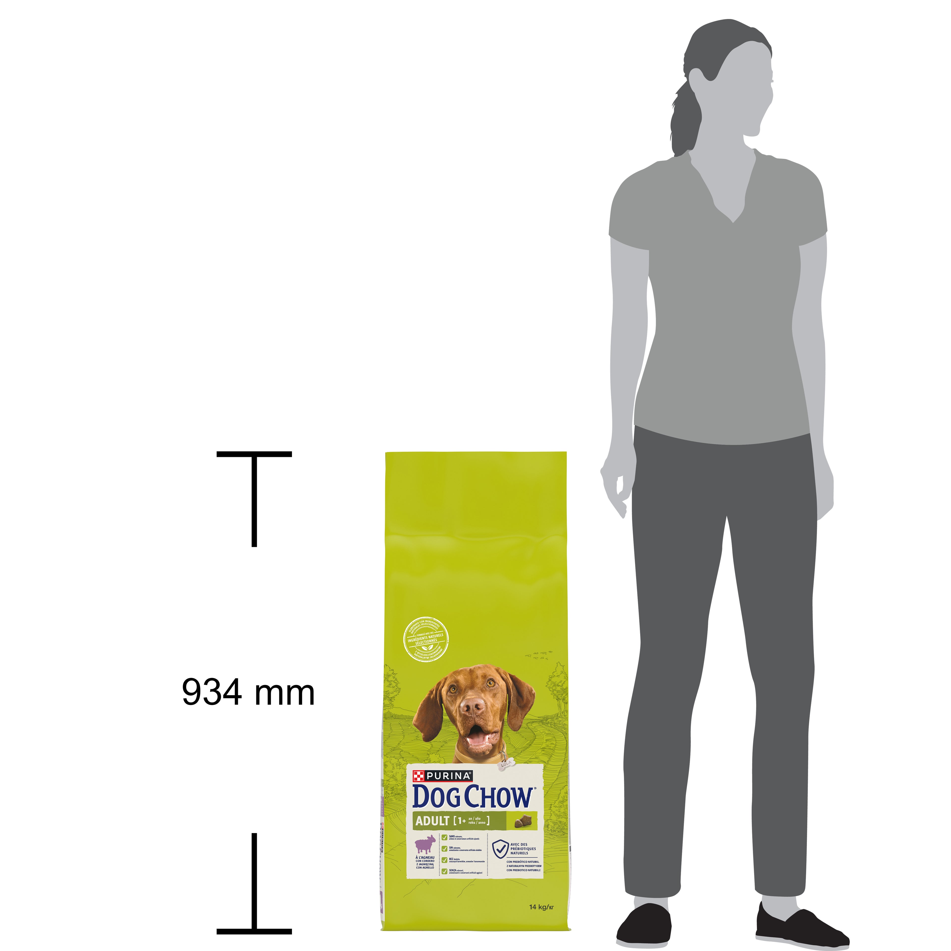 Purina Dog Chow Adult cu Miel