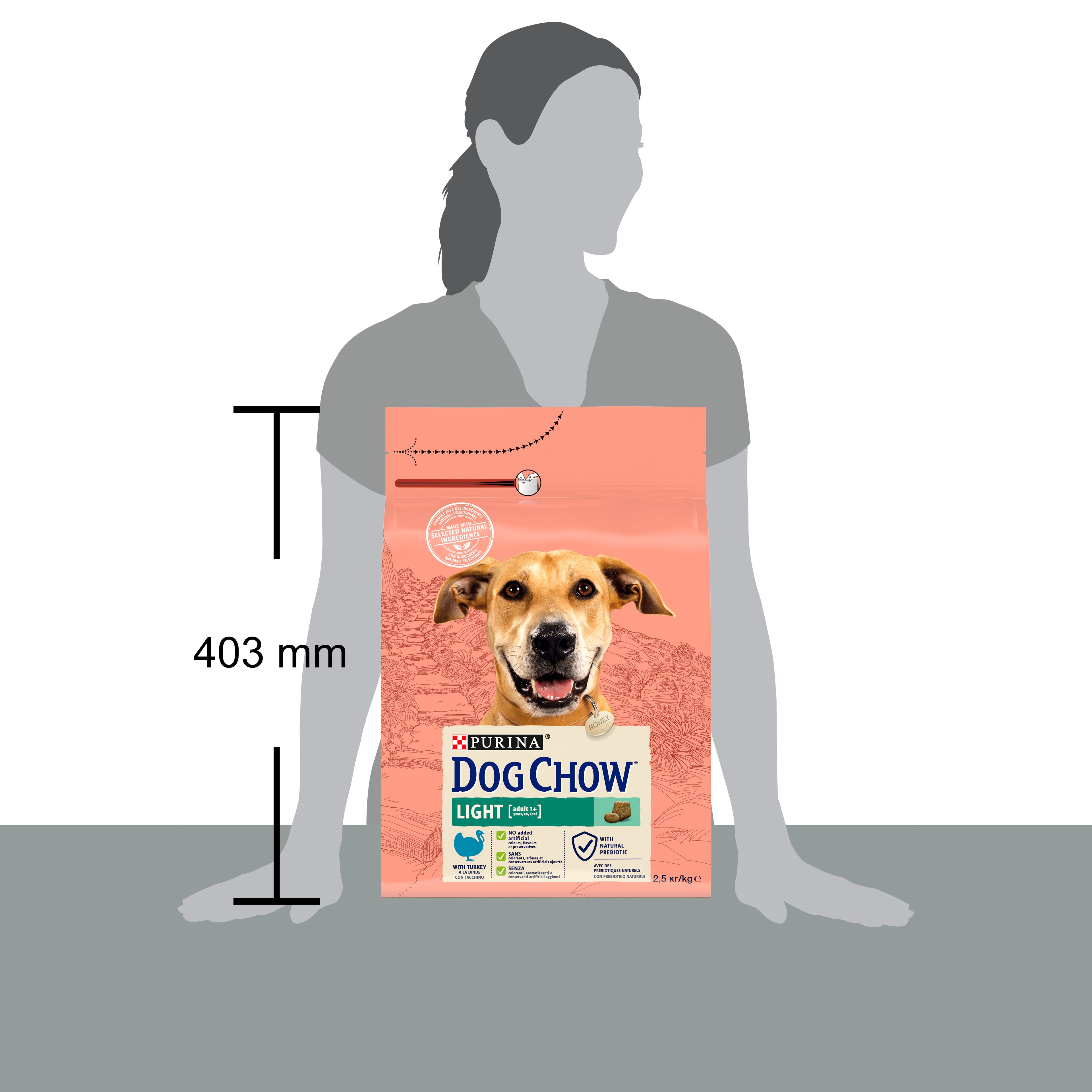 Purina Dog Chow Light cu Curcan