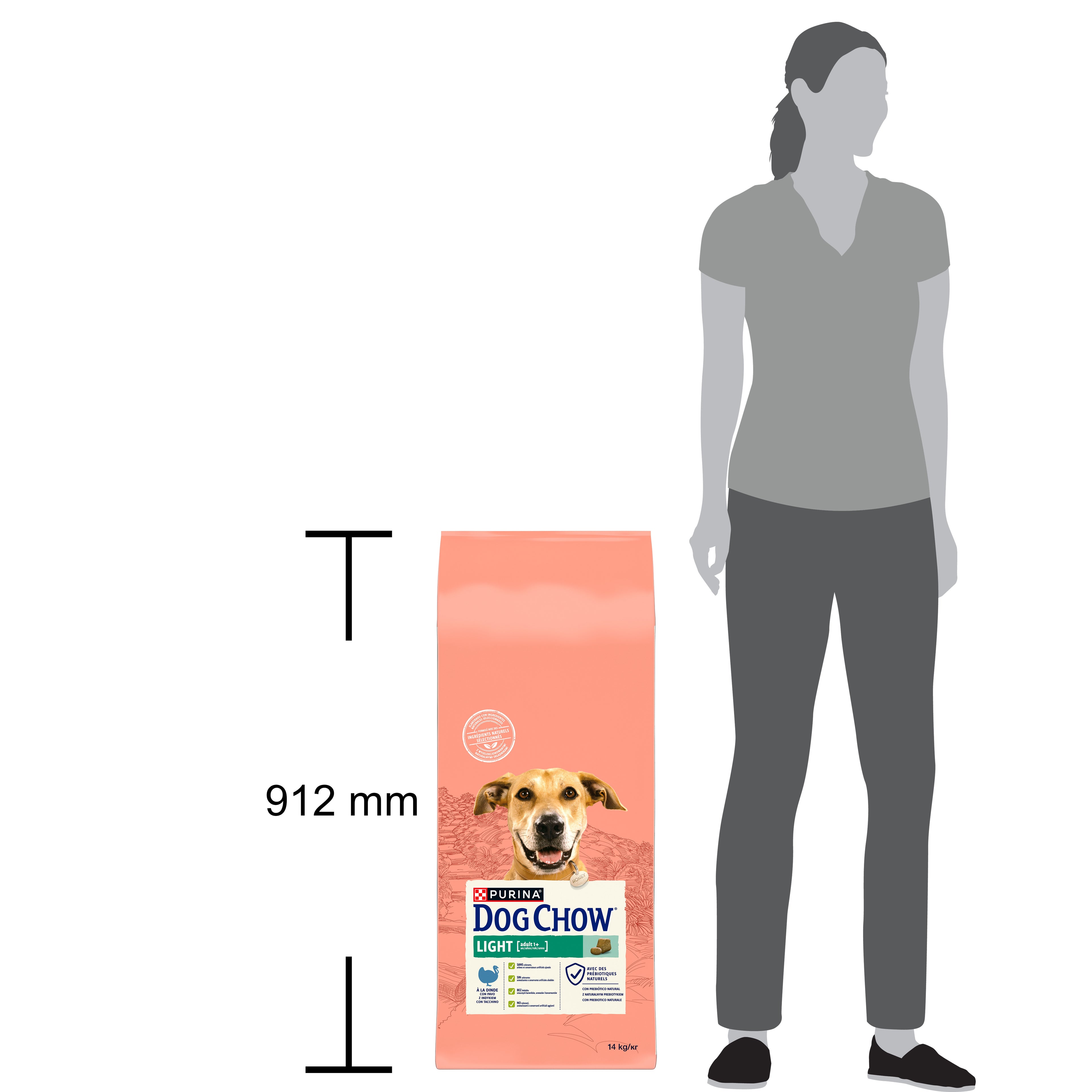 Purina Dog Chow Light cu Curcan