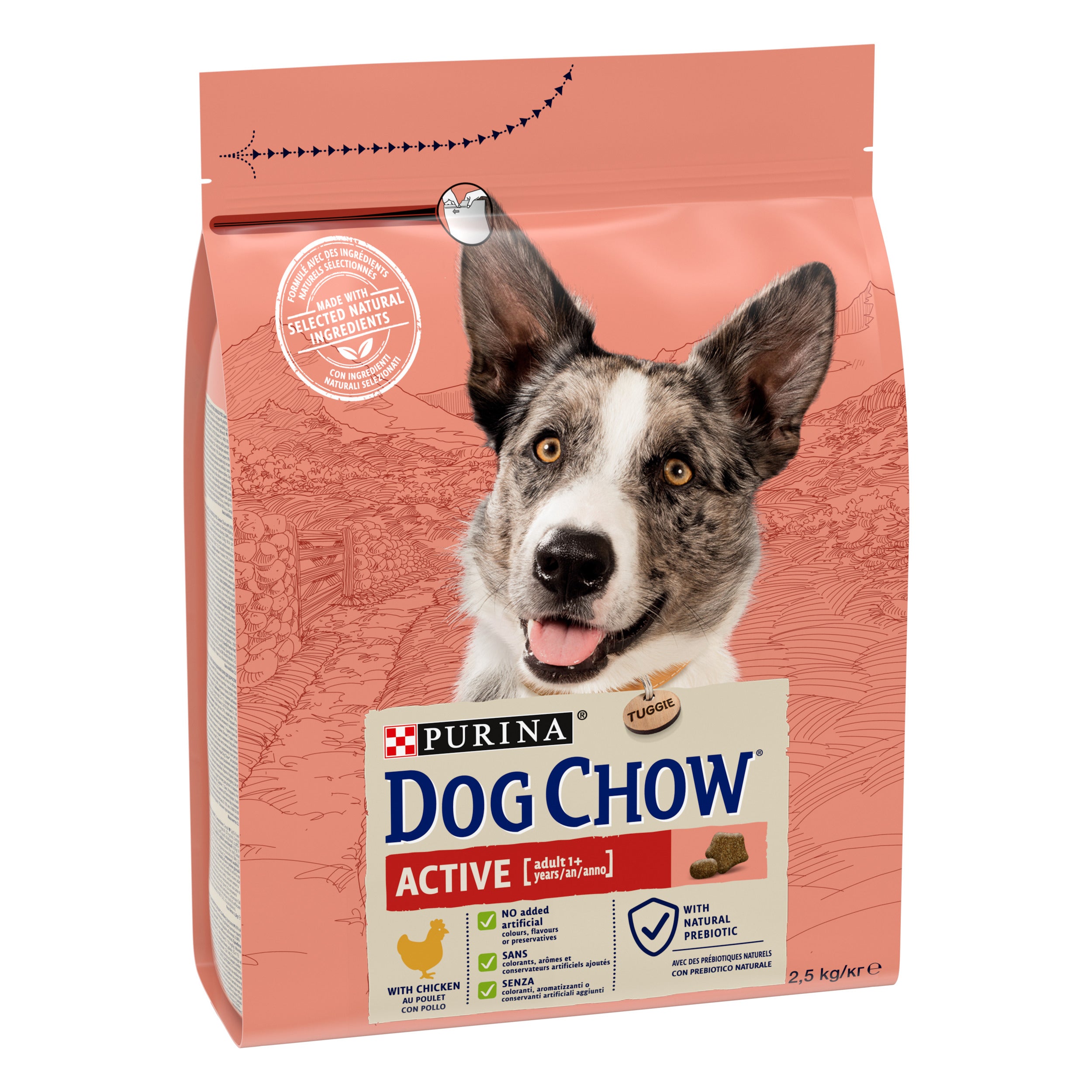 Purina Dog Chow Active cu Pui