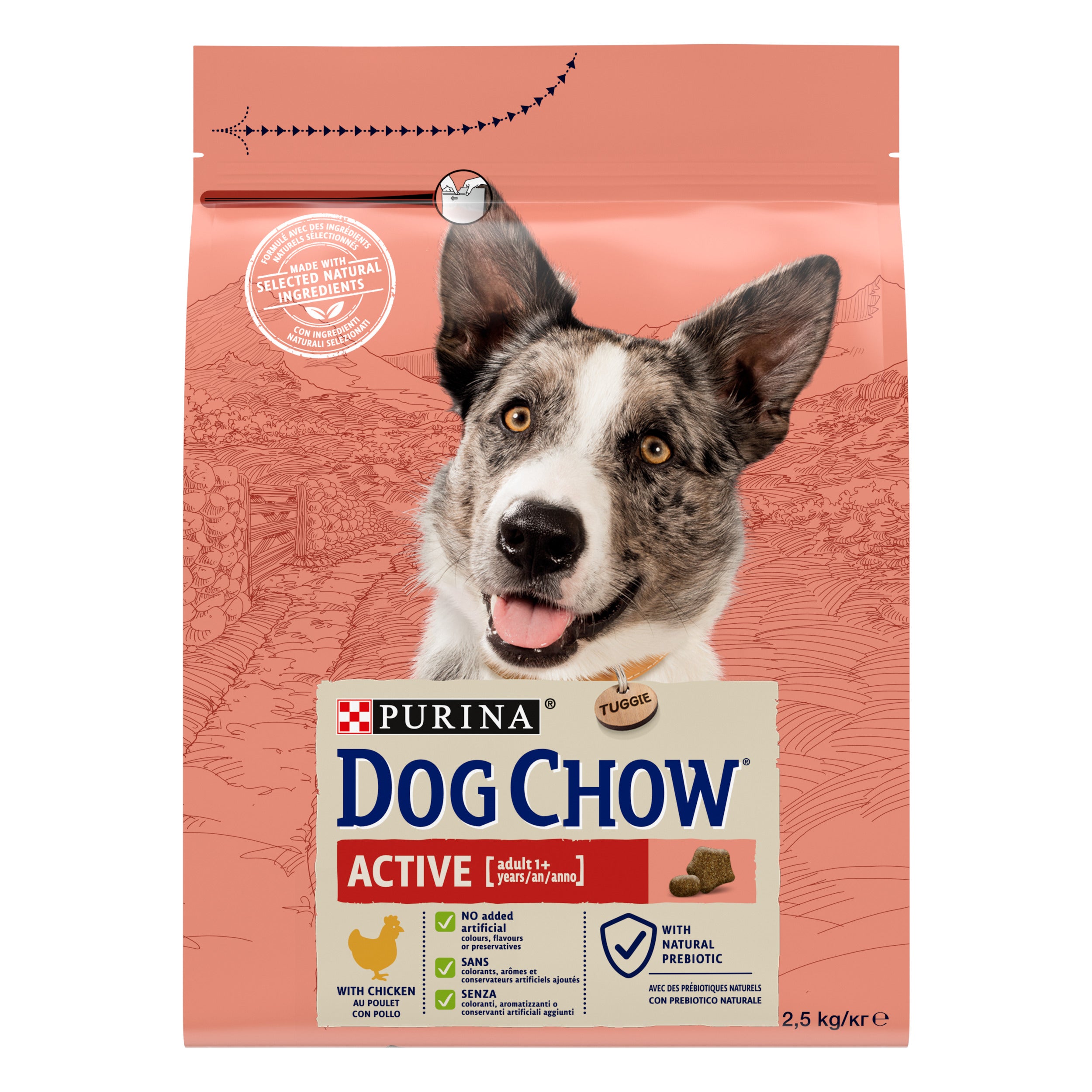 Purina Dog Chow Active cu Pui