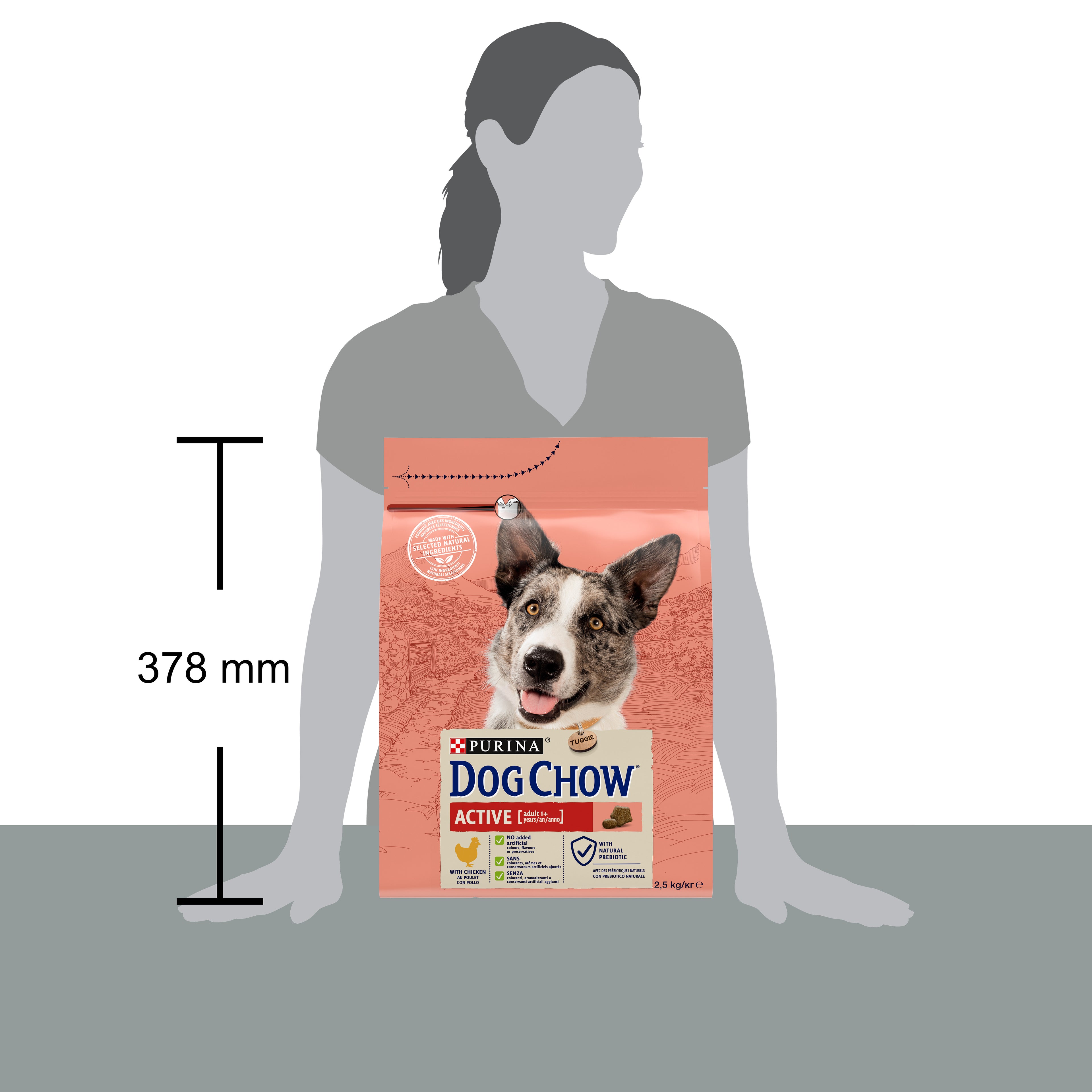 Purina Dog Chow Active cu Pui