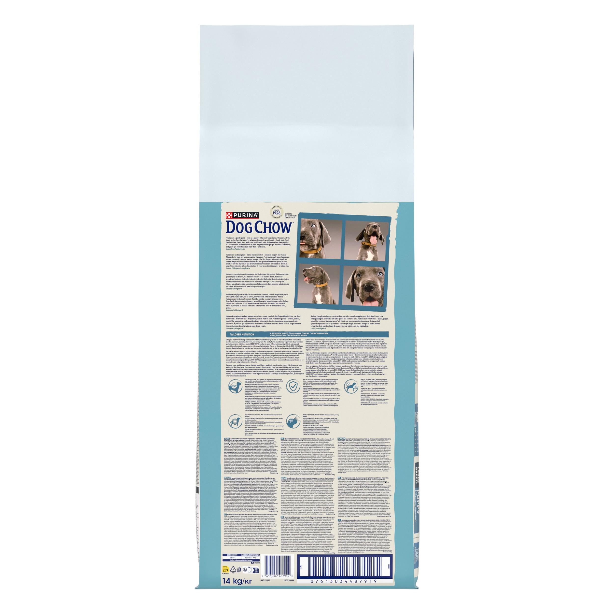 Purina Dog Chow Puppy Talie Mare cu Curcan 14kg