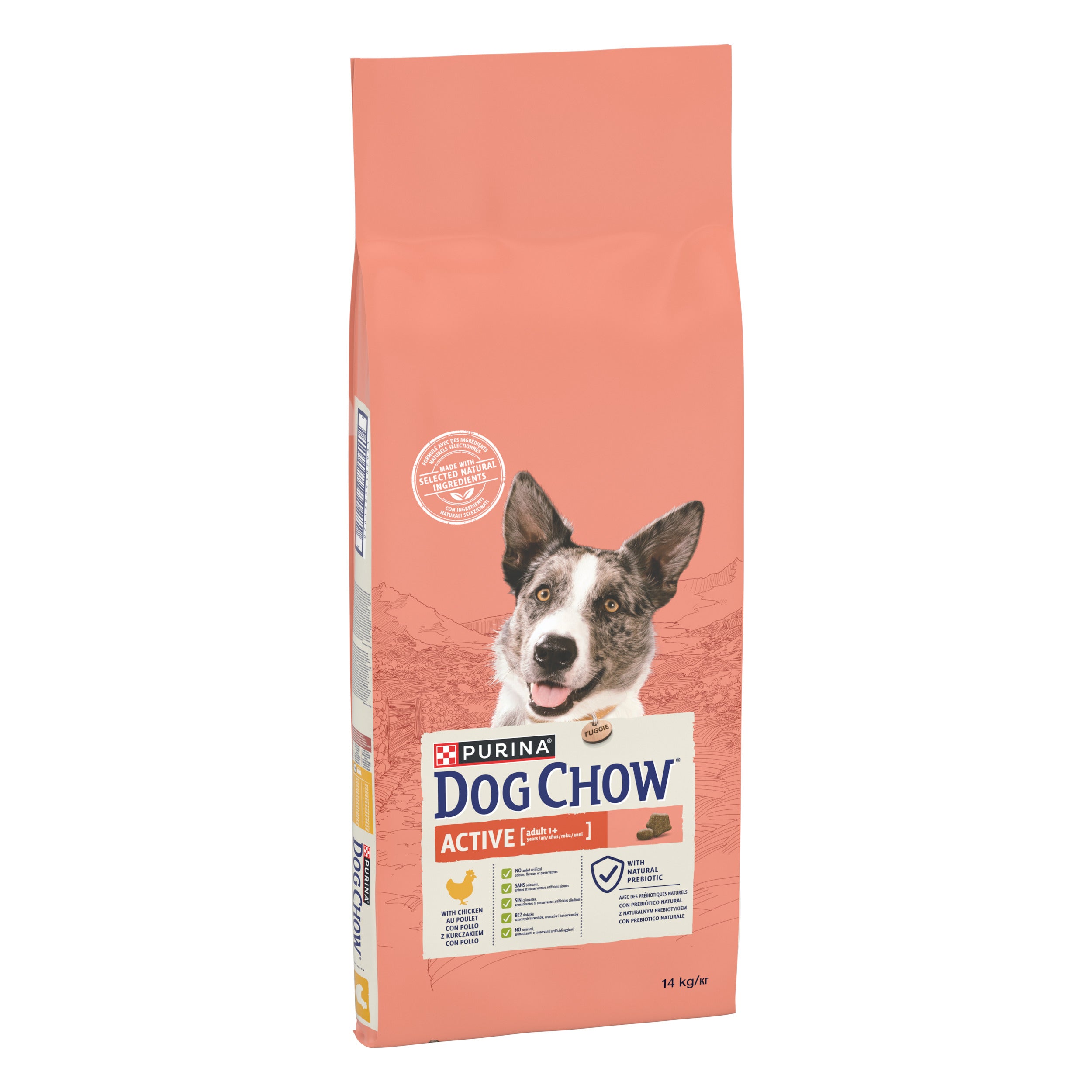 Purina Dog Chow Active cu Pui