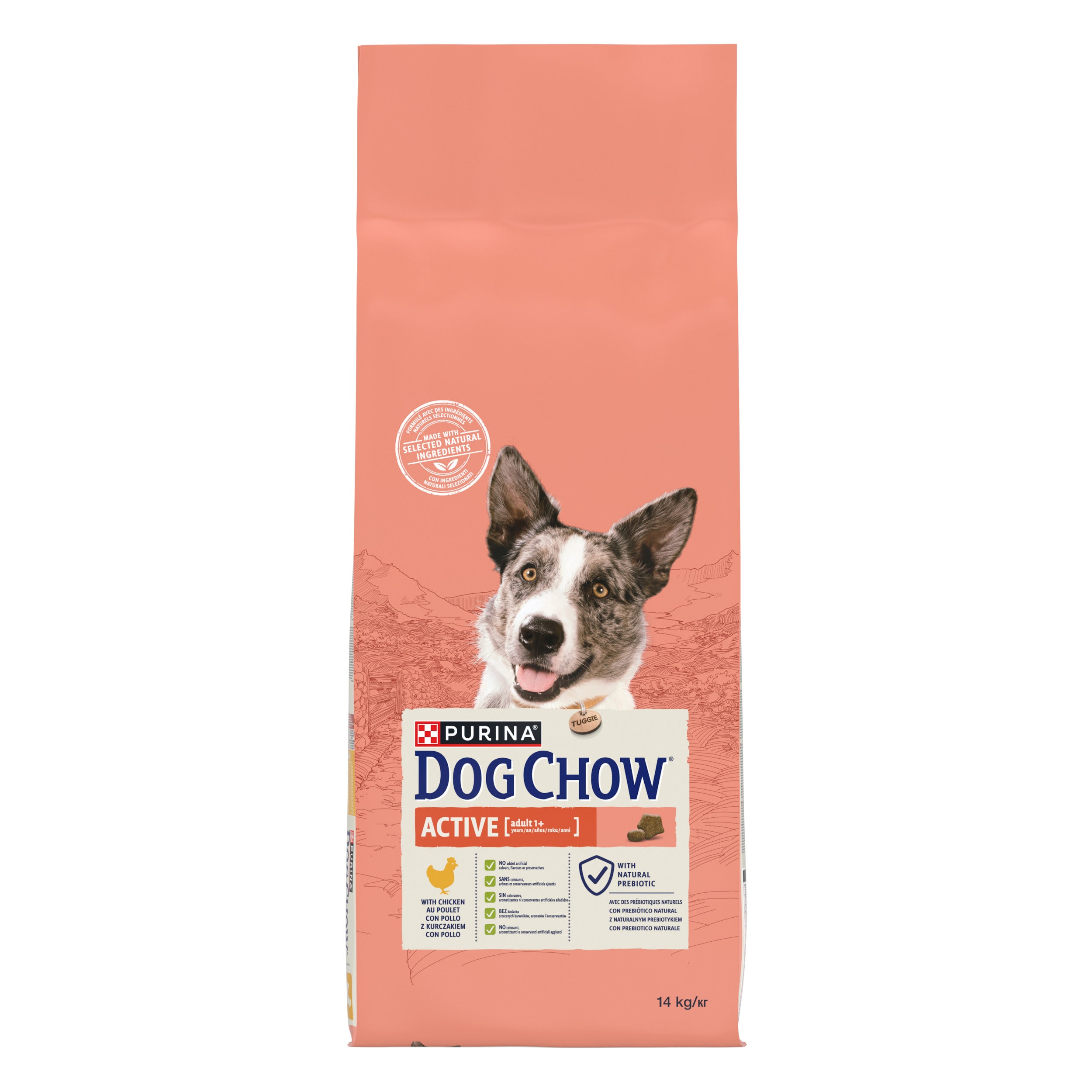 Purina Dog Chow Active cu Pui