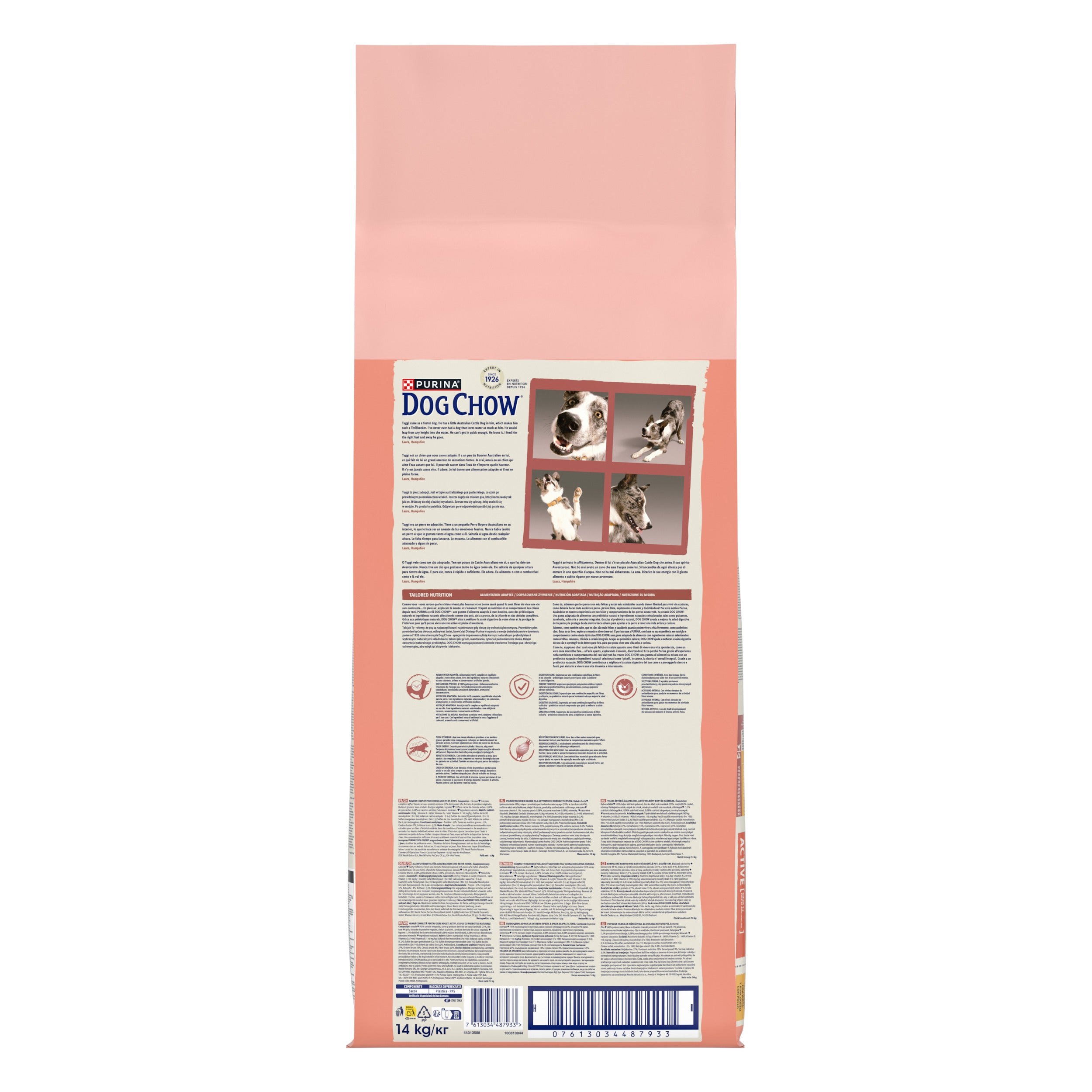 Purina Dog Chow Active cu Pui