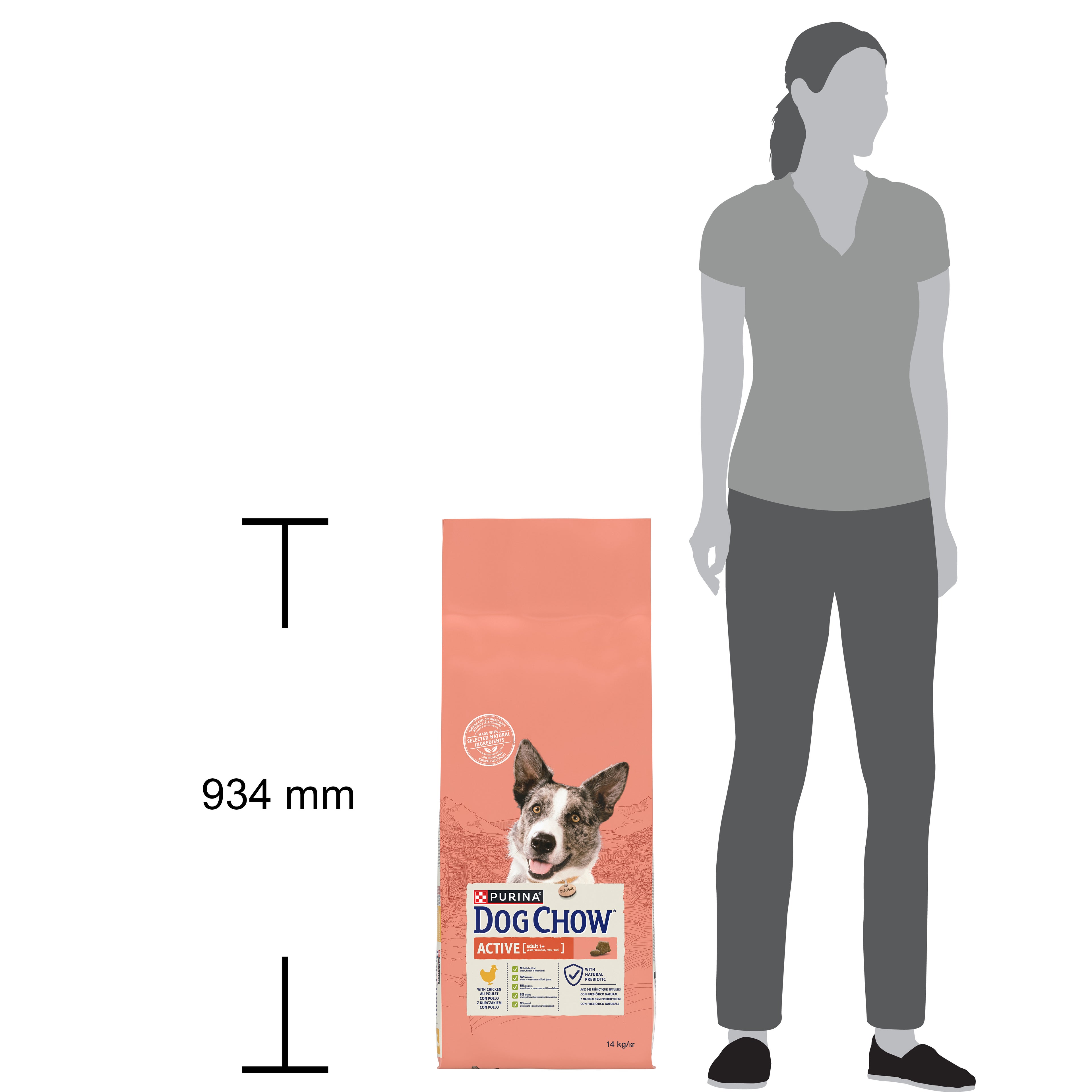 Purina Dog Chow Active cu Pui
