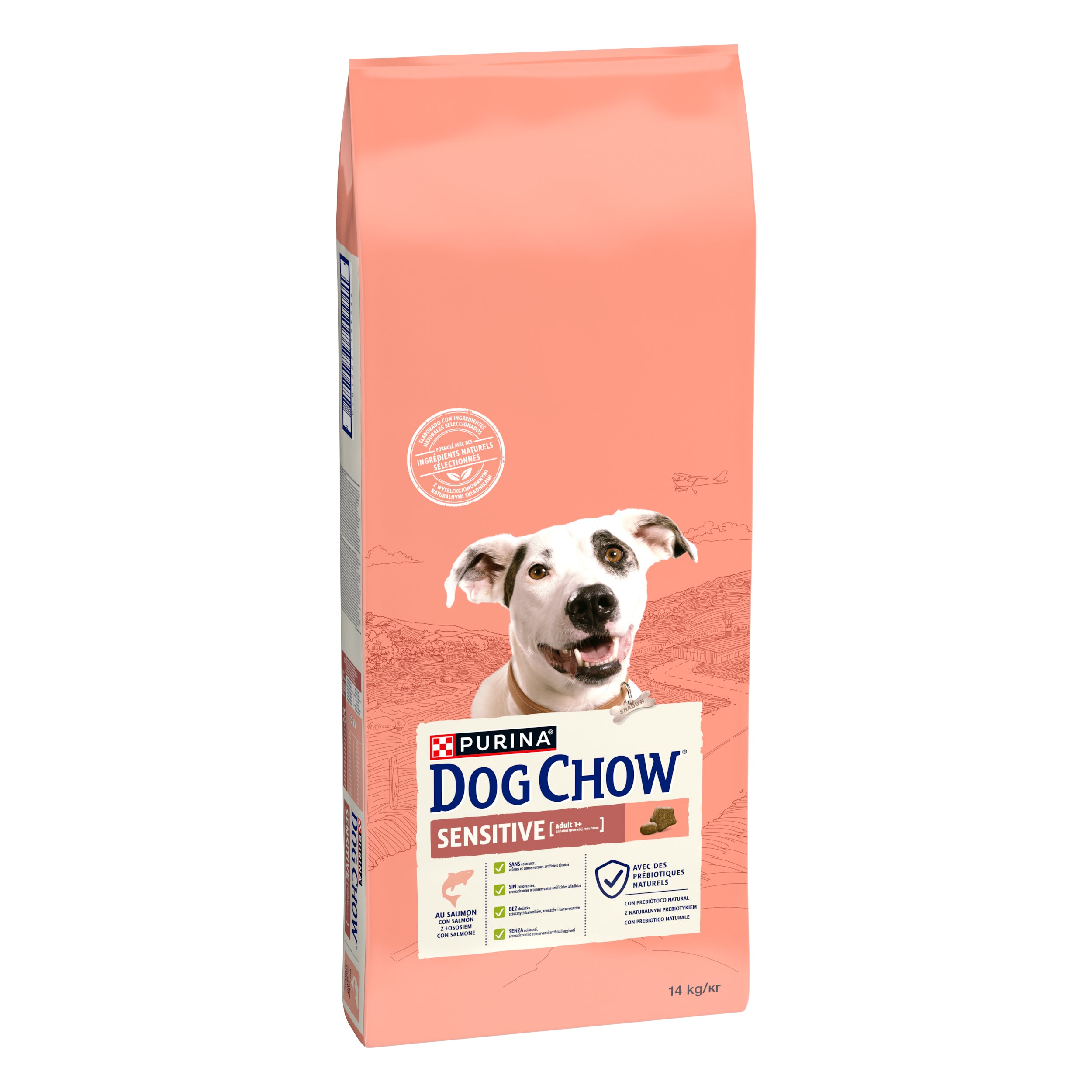 Purina Dog Chow Sensitive cu Somon