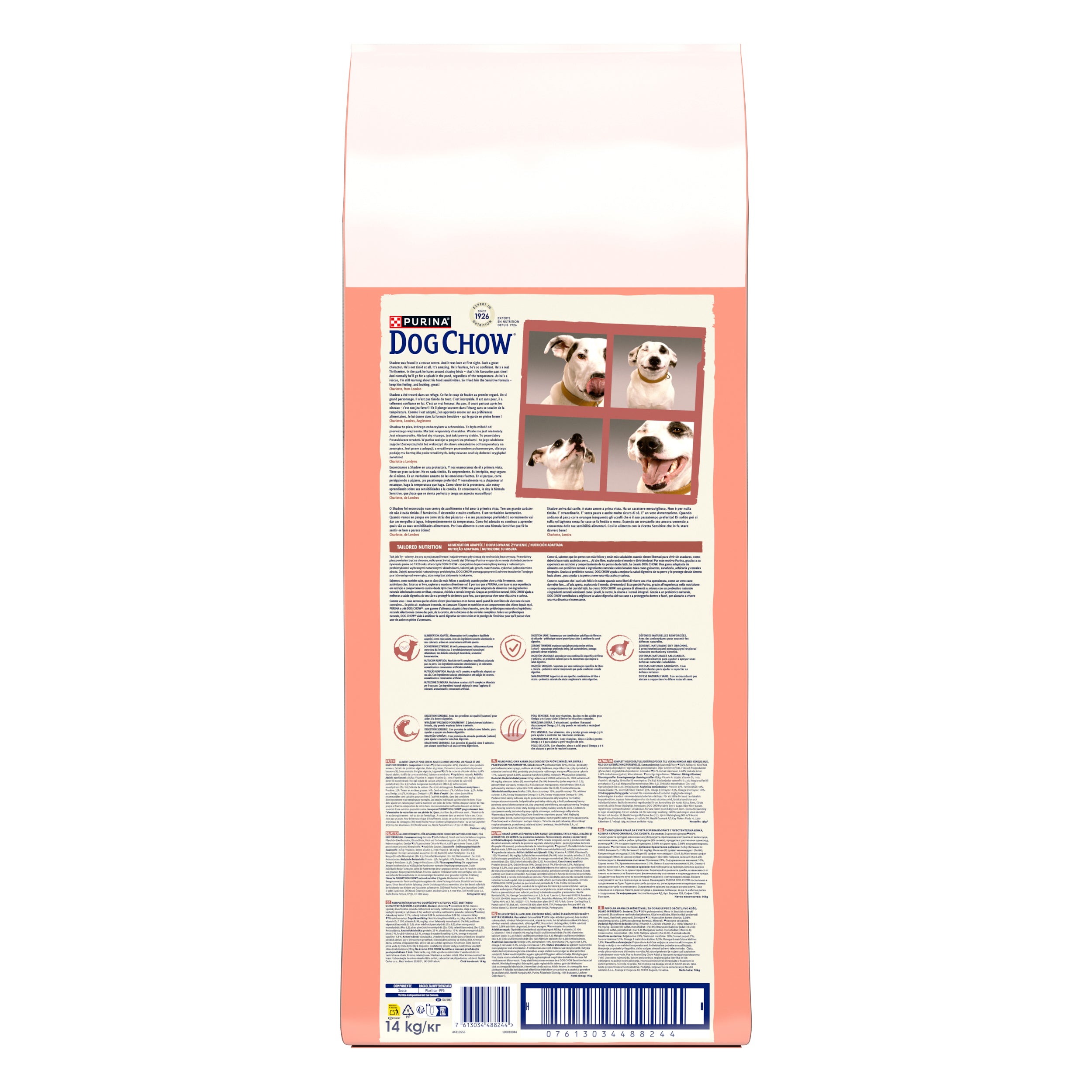 Purina Dog Chow Sensitive cu Somon