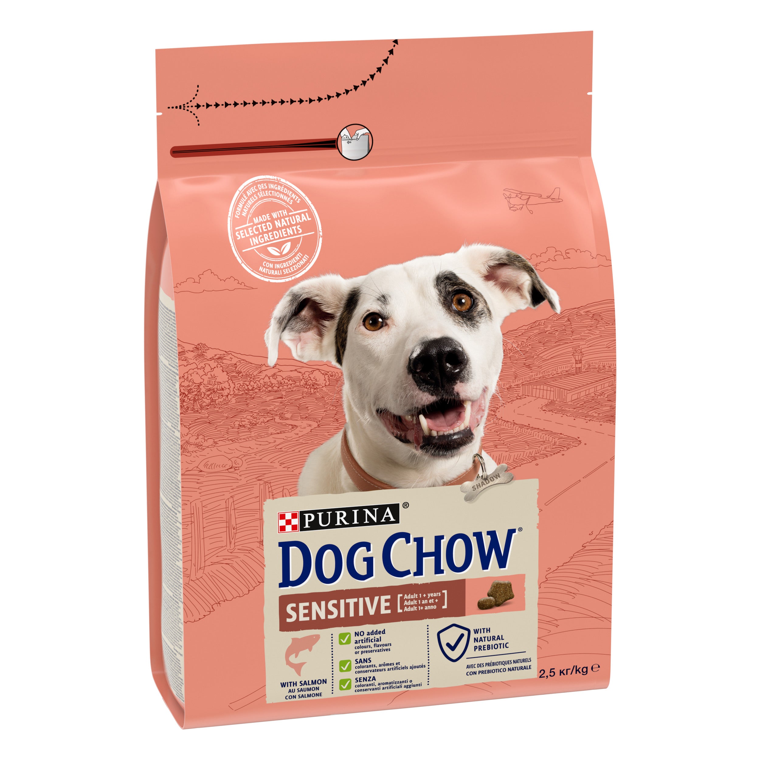 Purina Dog Chow Sensitive cu Somon