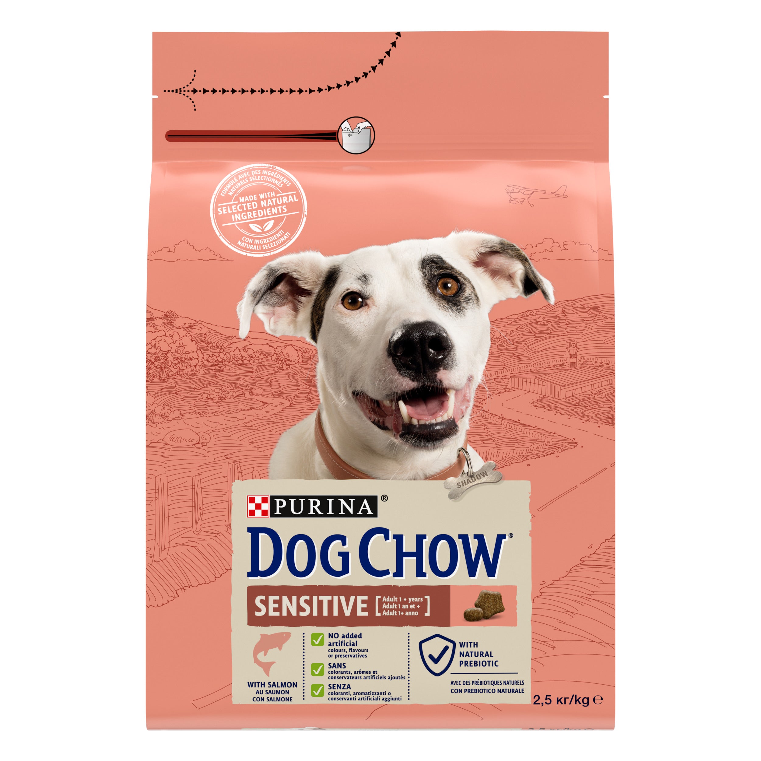 Purina Dog Chow Sensitive cu Somon