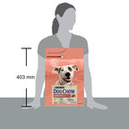 Purina Dog Chow Sensitive cu Somon