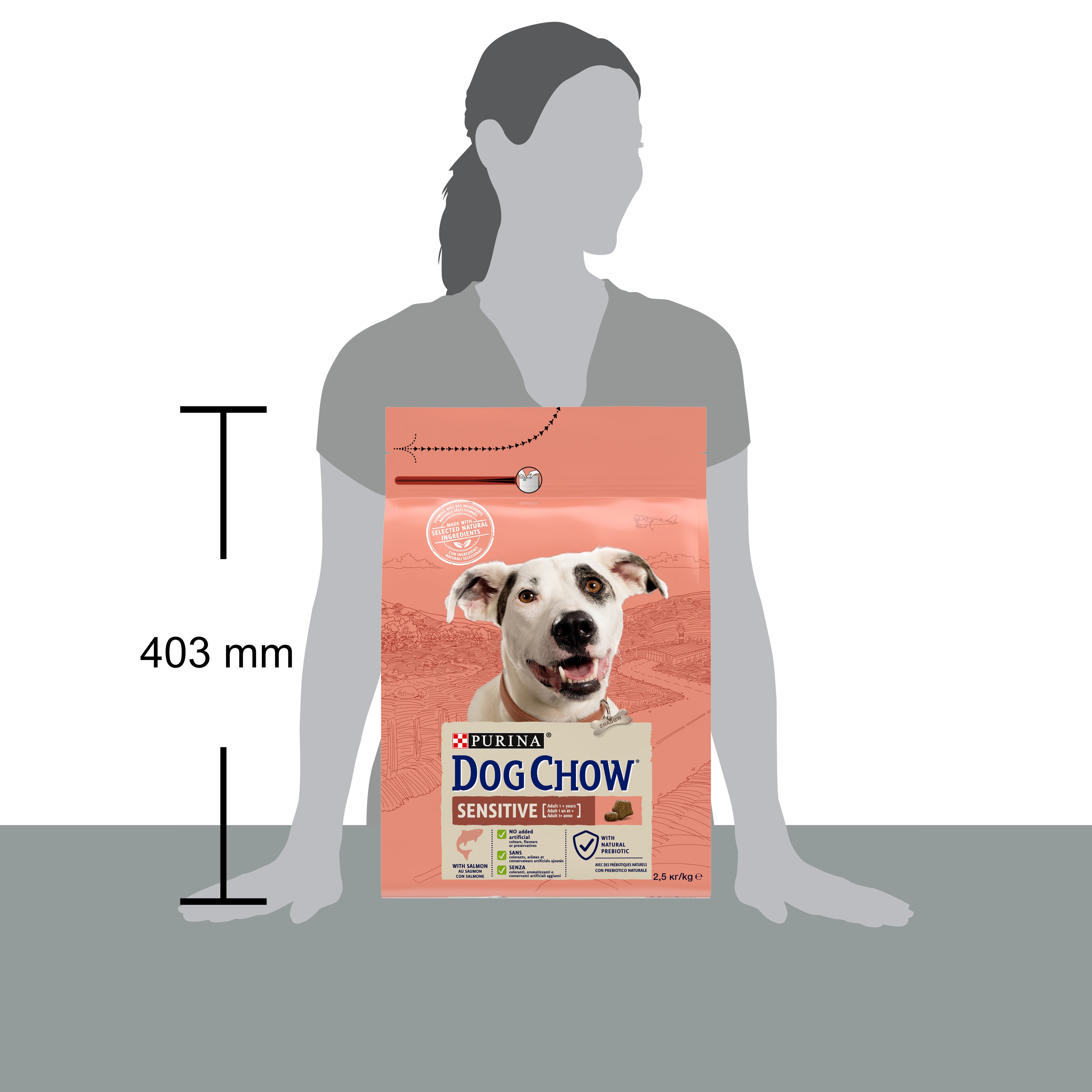 Purina Dog Chow Sensitive cu Somon