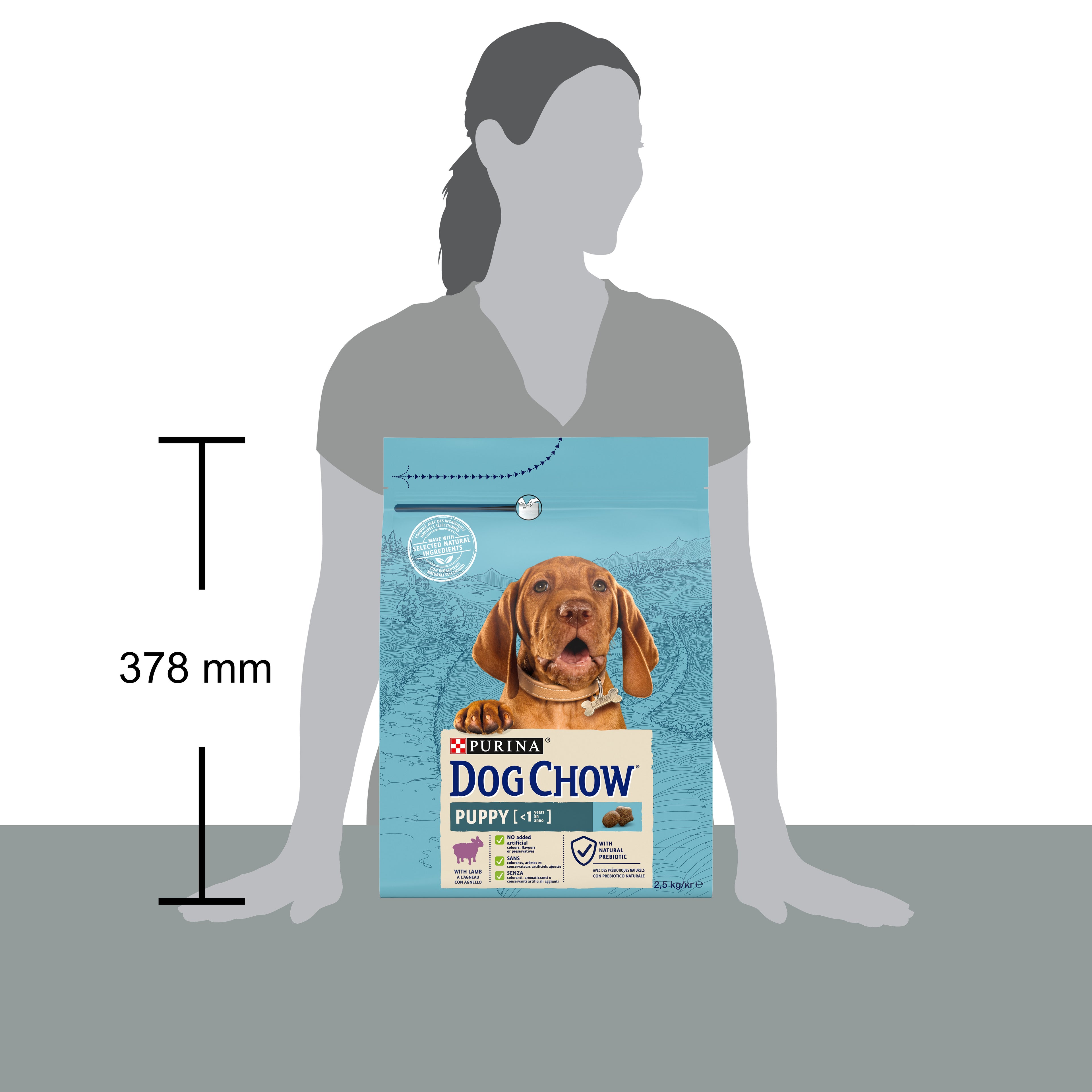 Purina Dog Chow Junior cu Miel