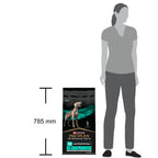 Pro Plan Veterinary Diets EN Gastrointestinal 12kg