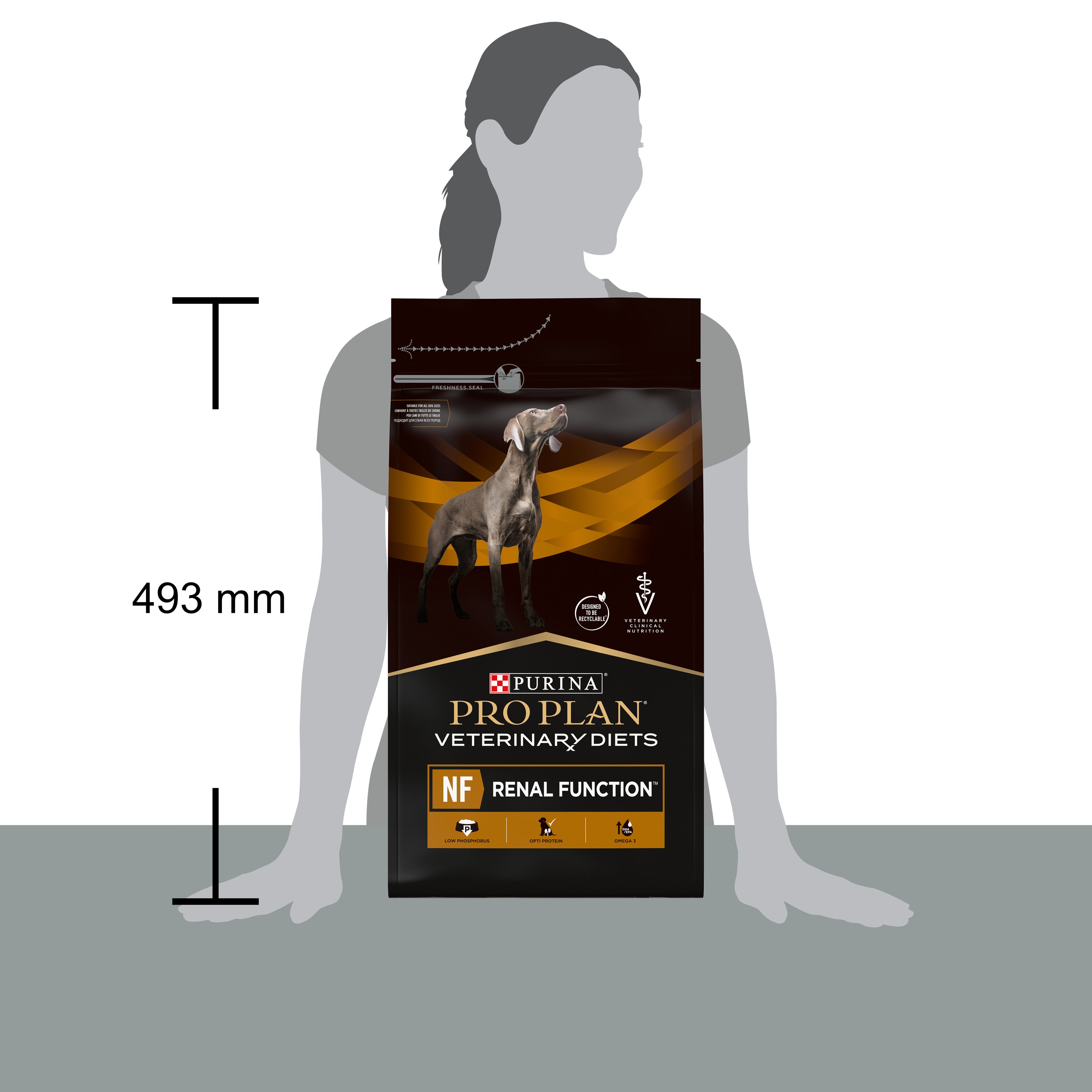 Pro Plan Veterinary Diets NF Renal Function 3kg