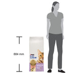 Purina Cat Chow Sensitive cu Somon