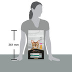 PRO PLAN® Renal Plus cu Pui