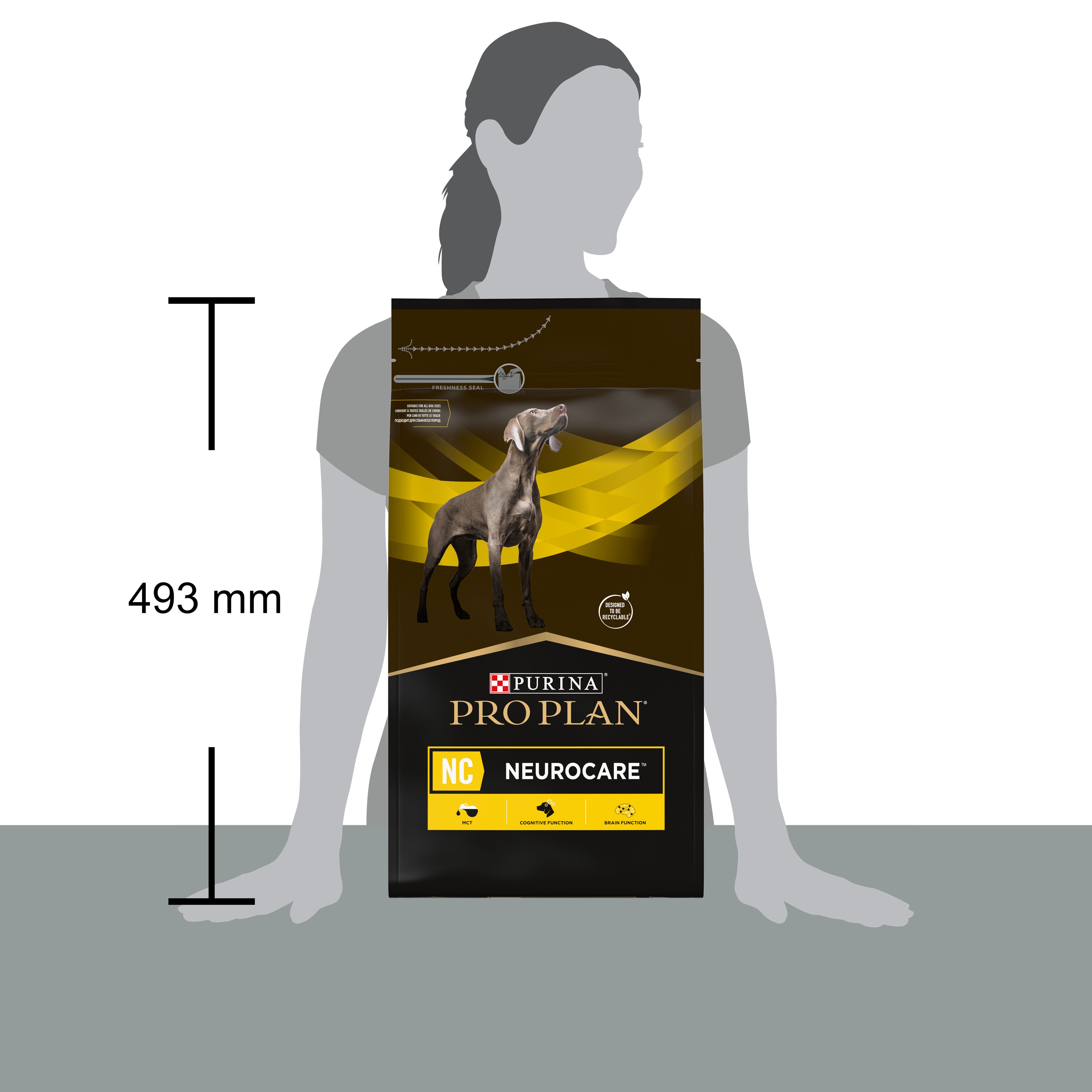 Pro Plan Veterinary Diets JM Joint Mobility