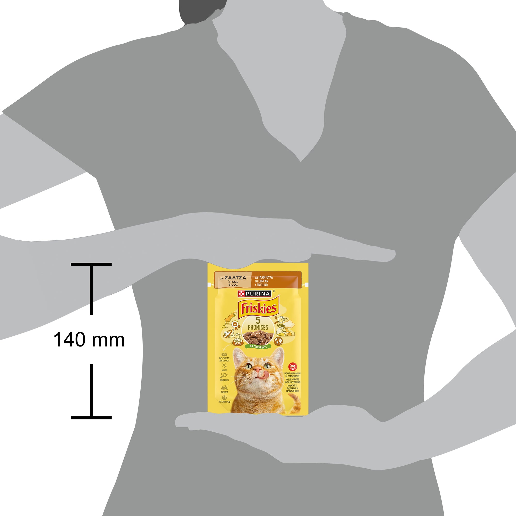 Friskies Adult cu Curcan în Sos – Hrană umedă pentru pisici adulte (85g)