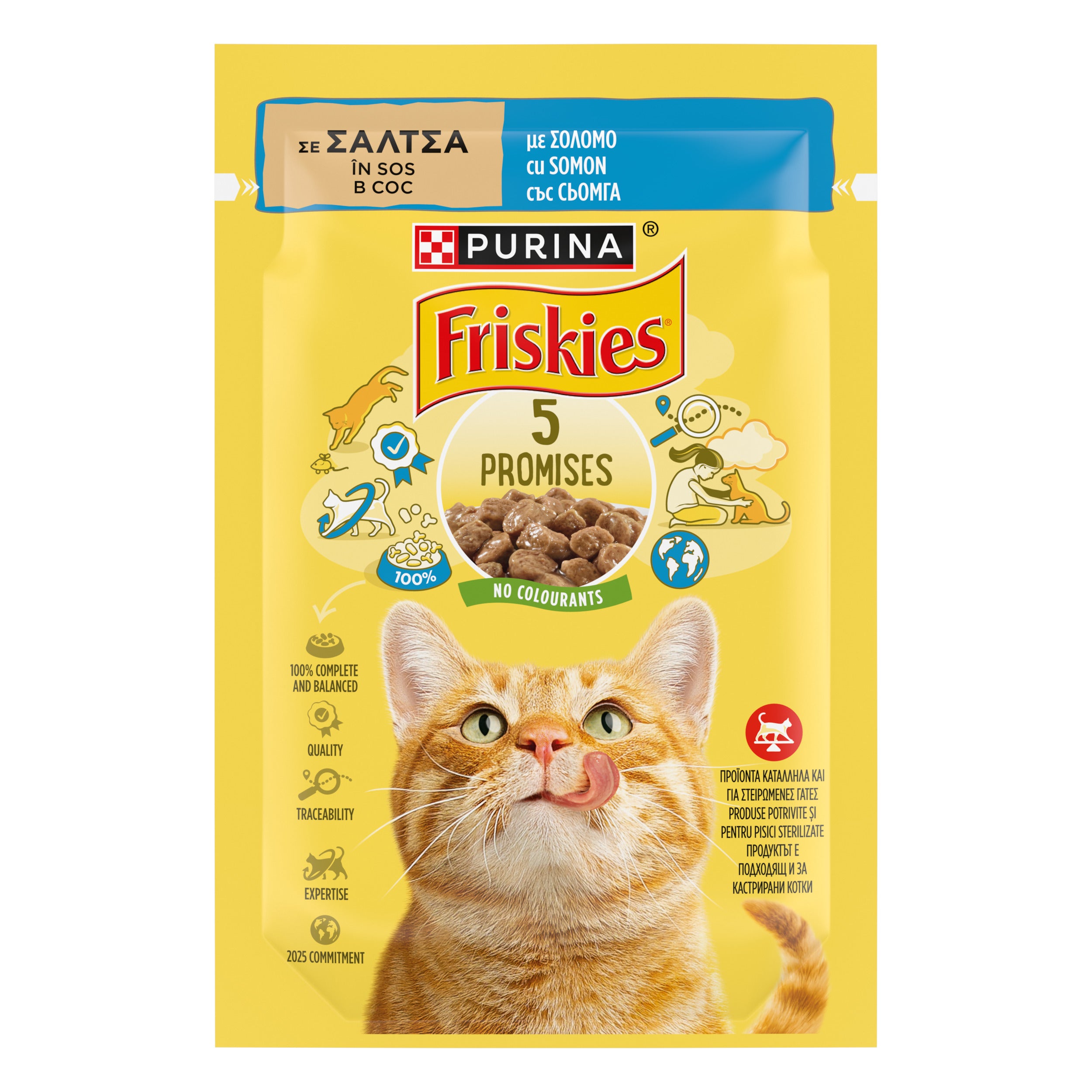 Friskies Adult cu Somon în Sos – Hrană umedă pentru pisici adulte (85g)
