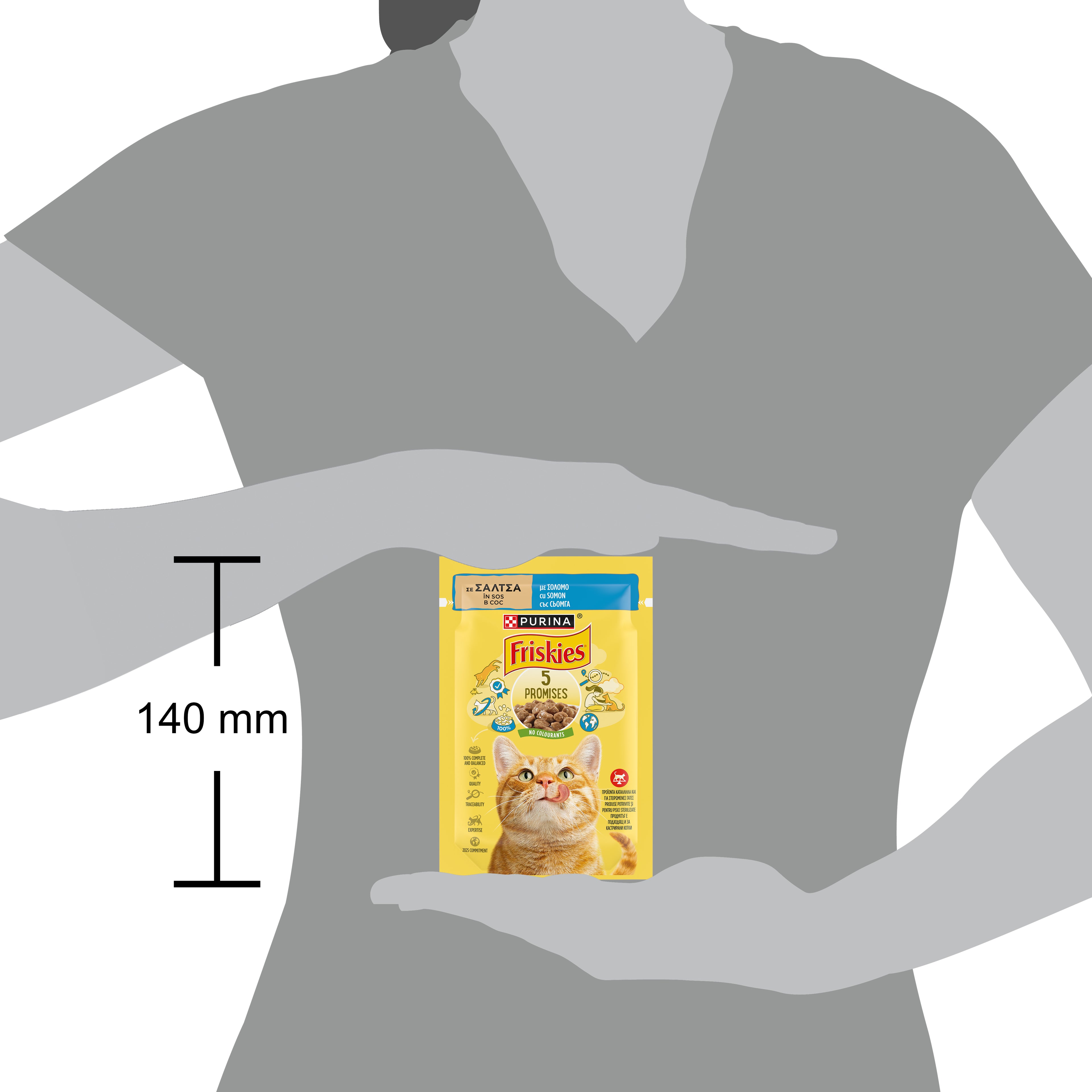 Friskies Adult cu Somon în Sos – Hrană umedă pentru pisici adulte (85g)