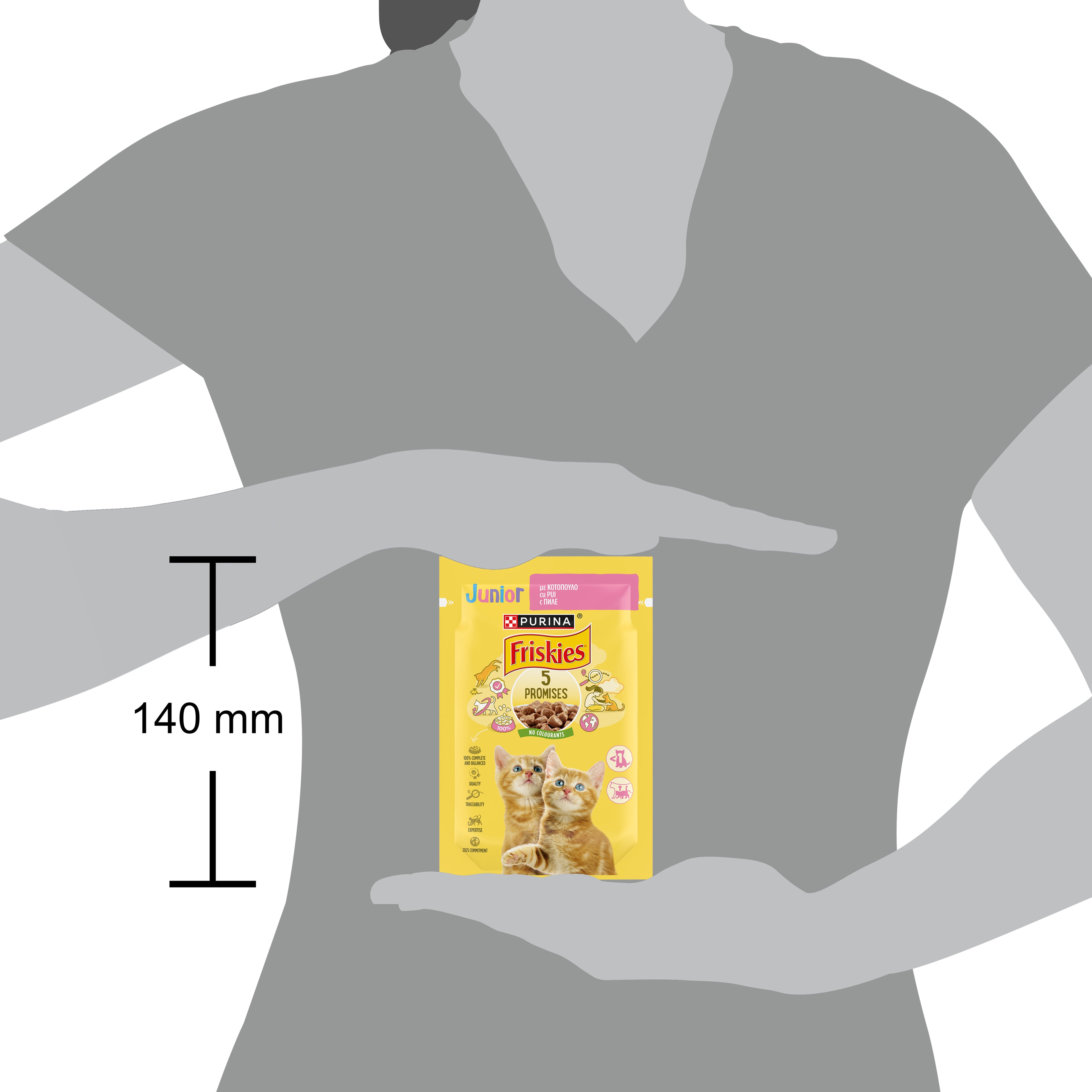 Friskies Junior cu Pui în sos – Hrană umedă pentru pui de pisică (85g)