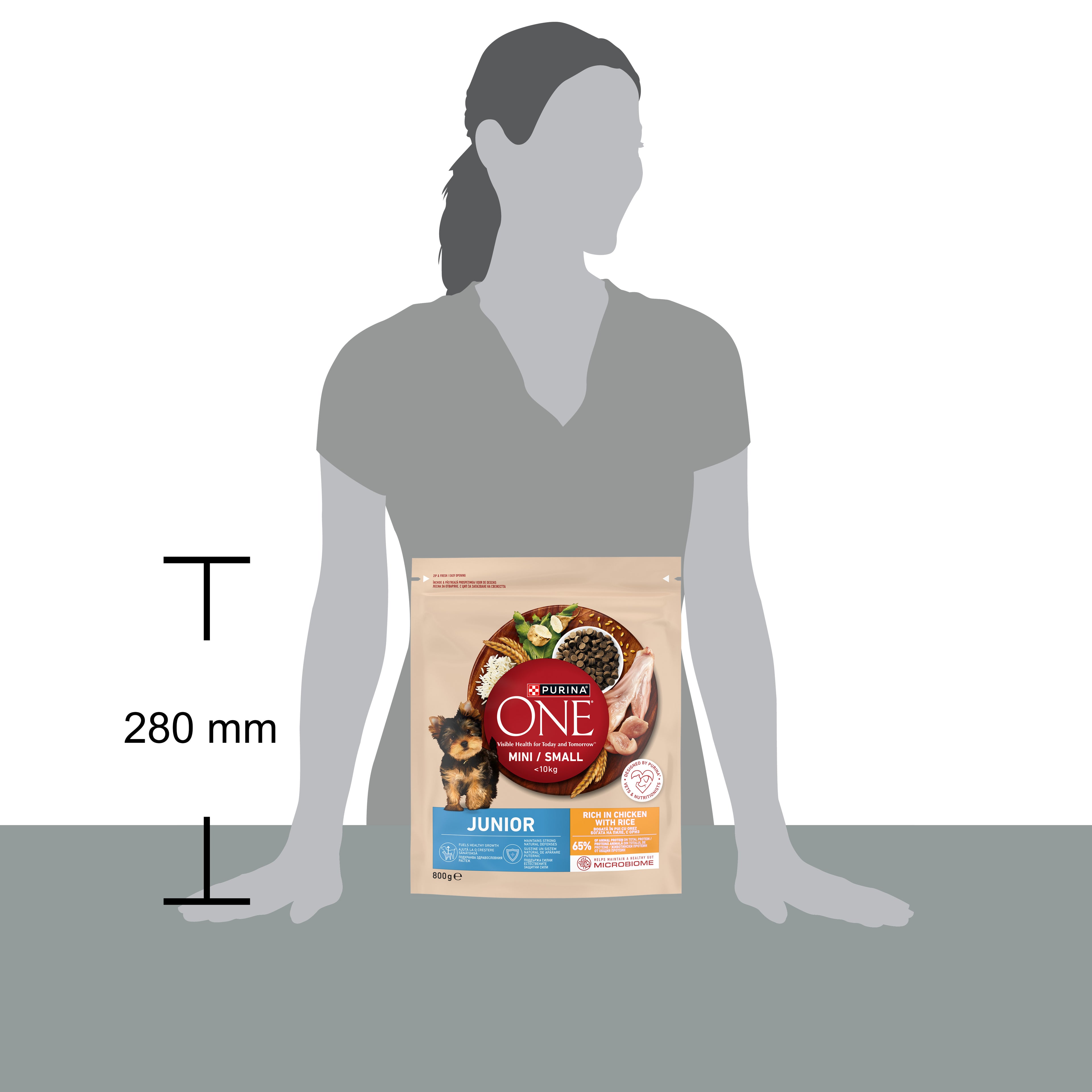 PURINA ONE® Mini Junior Pui & Orez – Pui câini talie mică, 800g