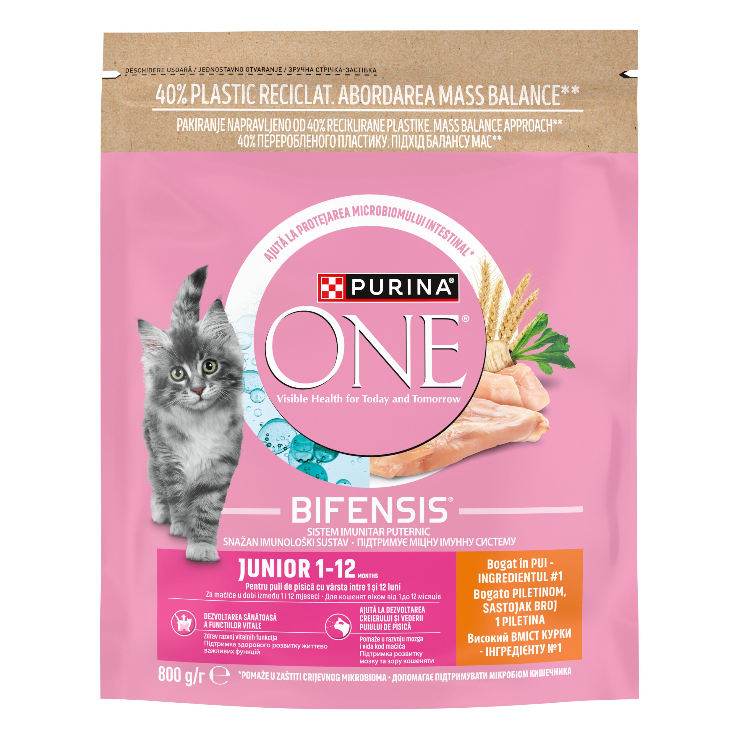 PURINA ONE® JUNIOR cu Pui și Cereale Integrale – 800g