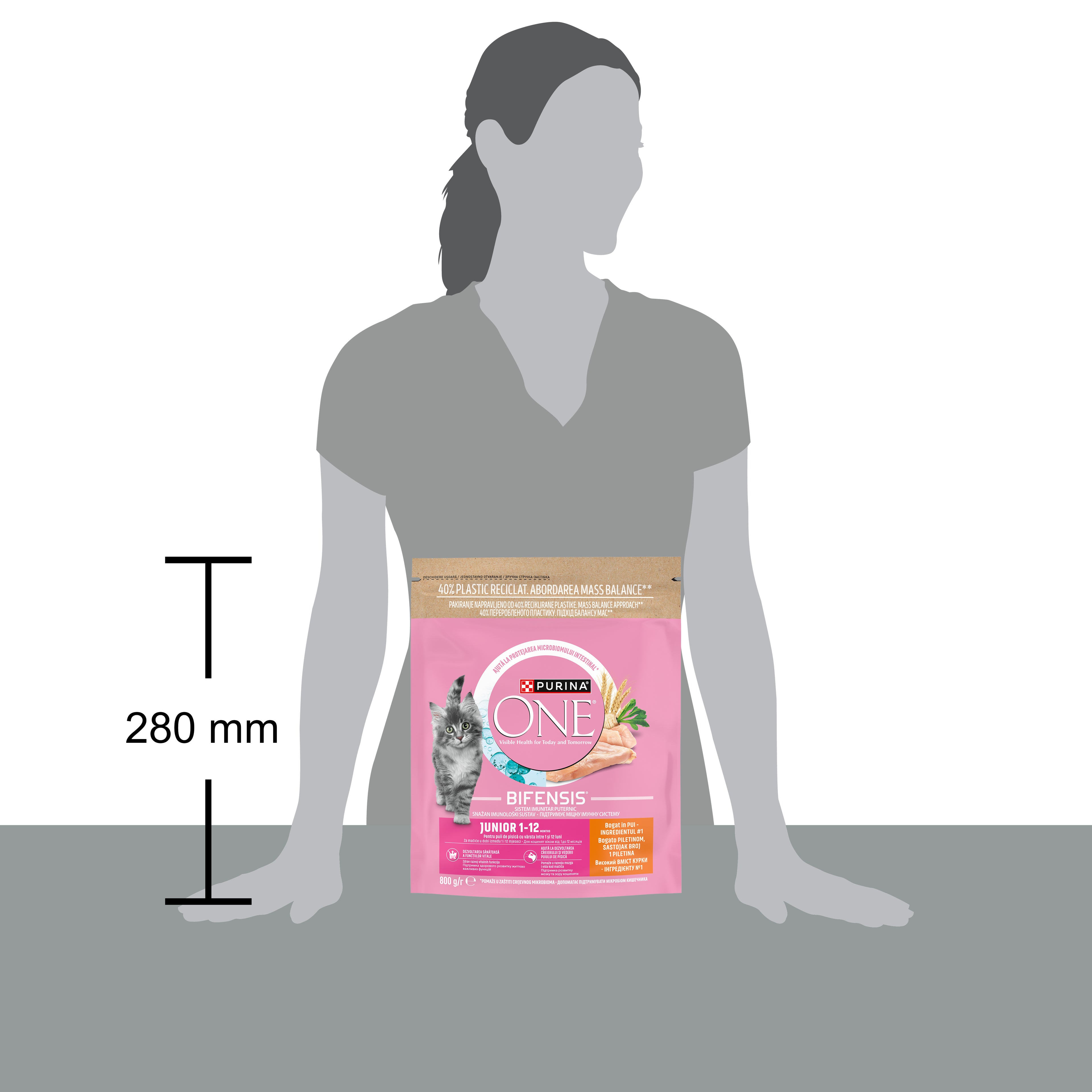 PURINA ONE® JUNIOR cu Pui și Cereale Integrale – 800g