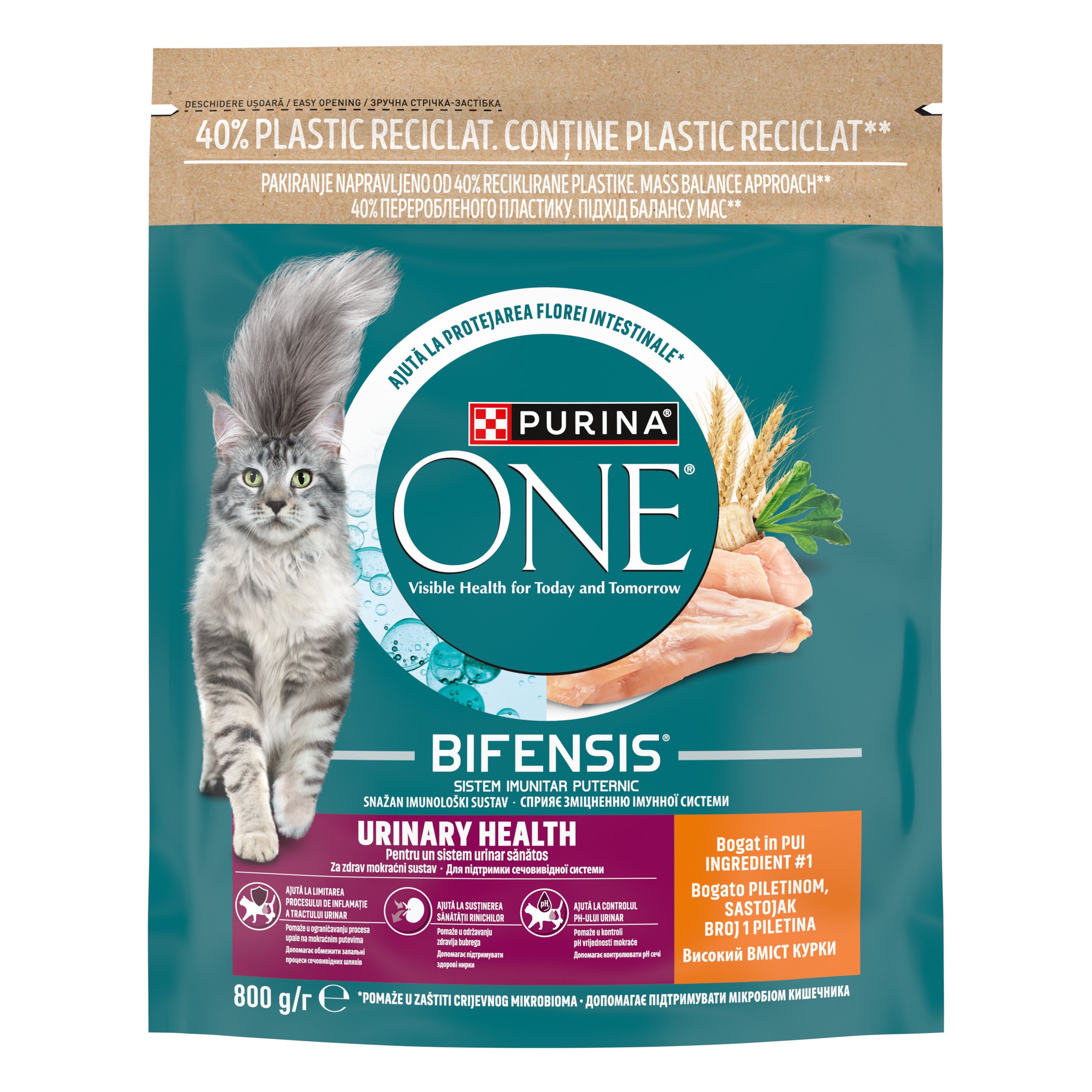 PURINA ONE® URINARY CARE cu Pui – 800g