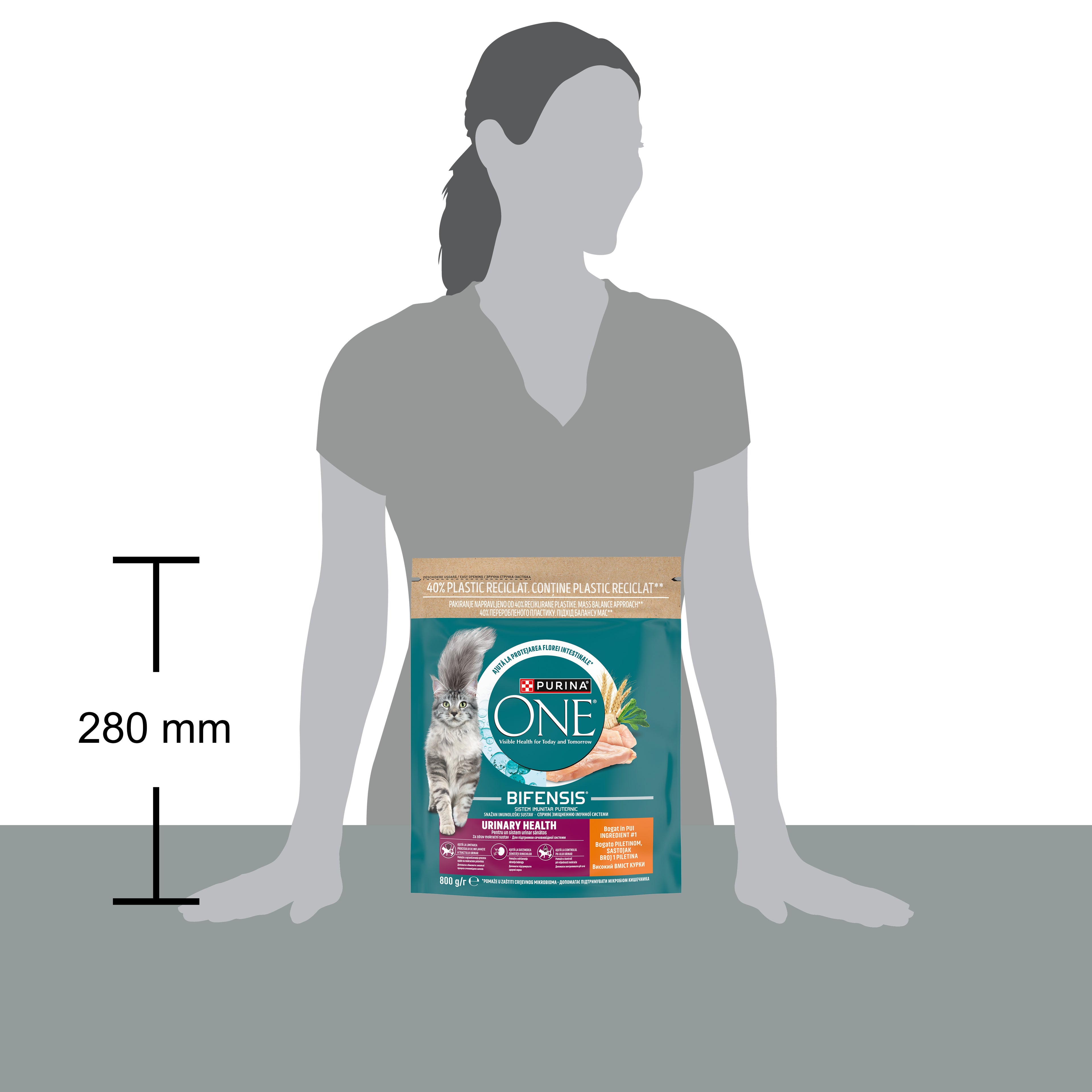 PURINA ONE® URINARY CARE cu Pui – 800g